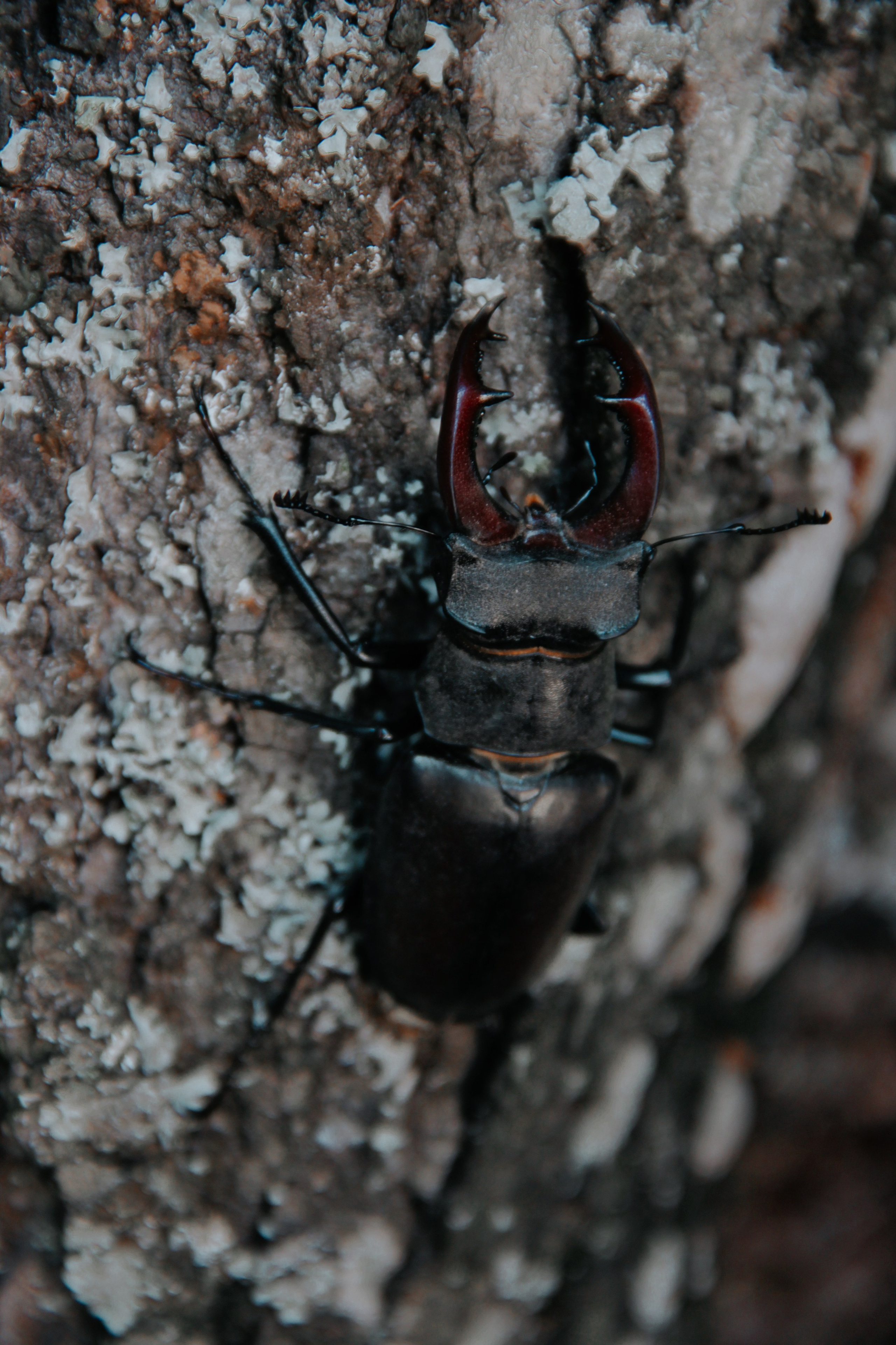 Крым. Фотограф и видеограф в Санкт-Петербурге