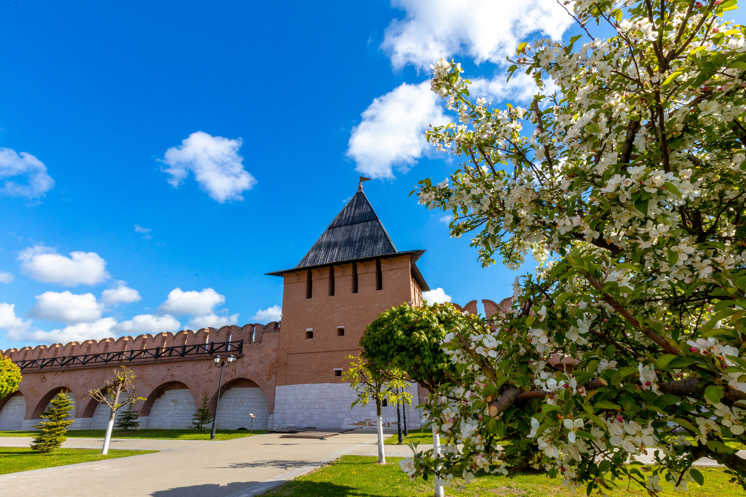 Весеннее цветение в Туле. Фотограф в Туле Крупский АнДРей. Фотостудия «КАДР71» в Туле