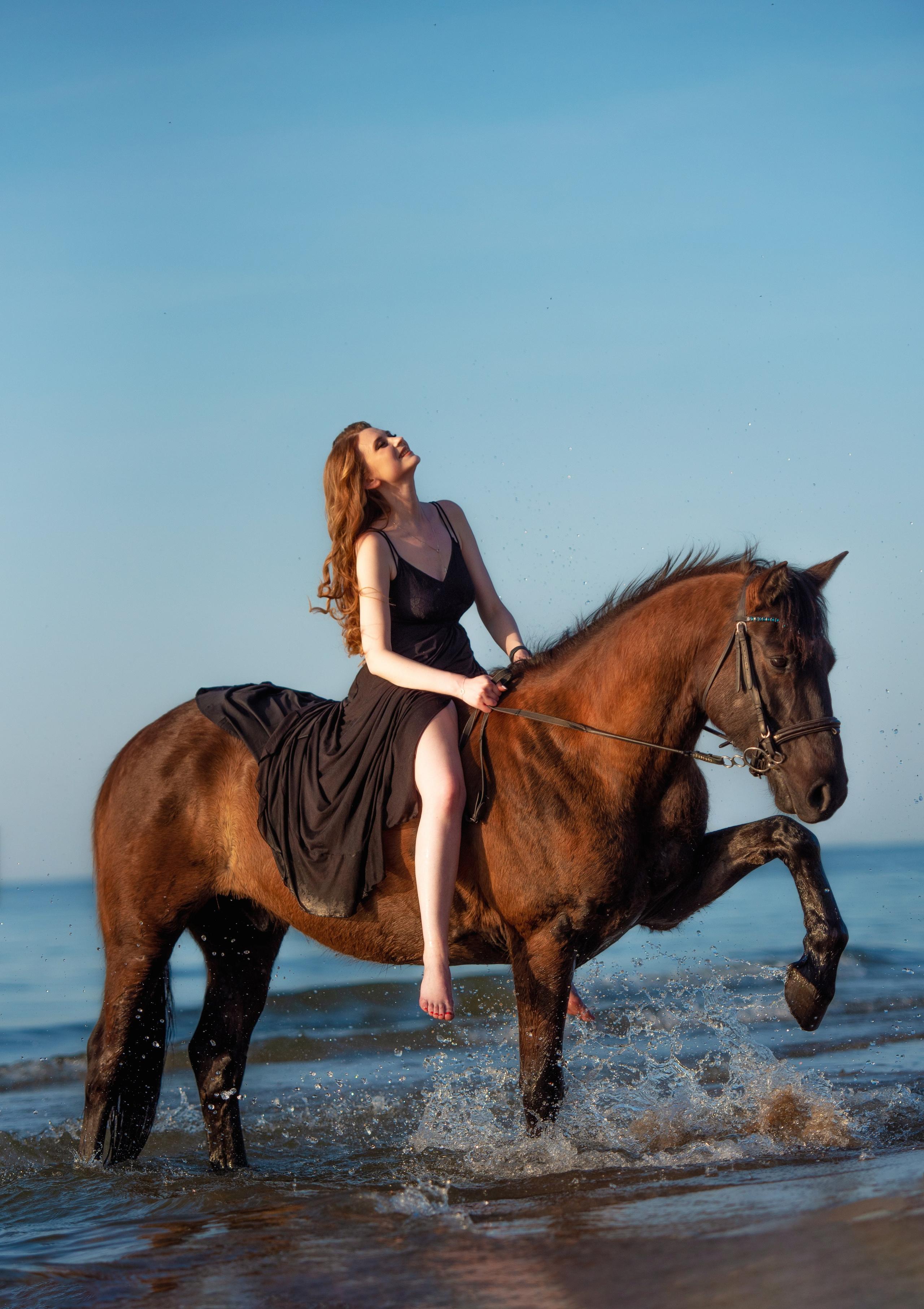 Побережье Балтийского моря. Фотограф с лошадьми в Калининграде Татьяна Ларина