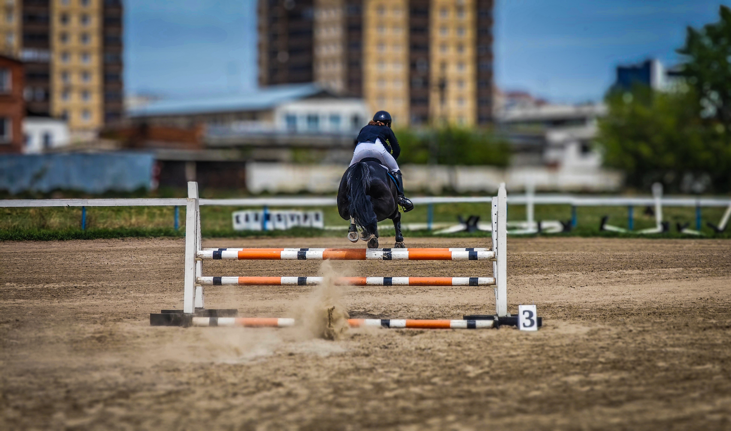Красноярский ипподром. Открытие сезона 2025. Игорь Урывский. Фотограф Красноярск