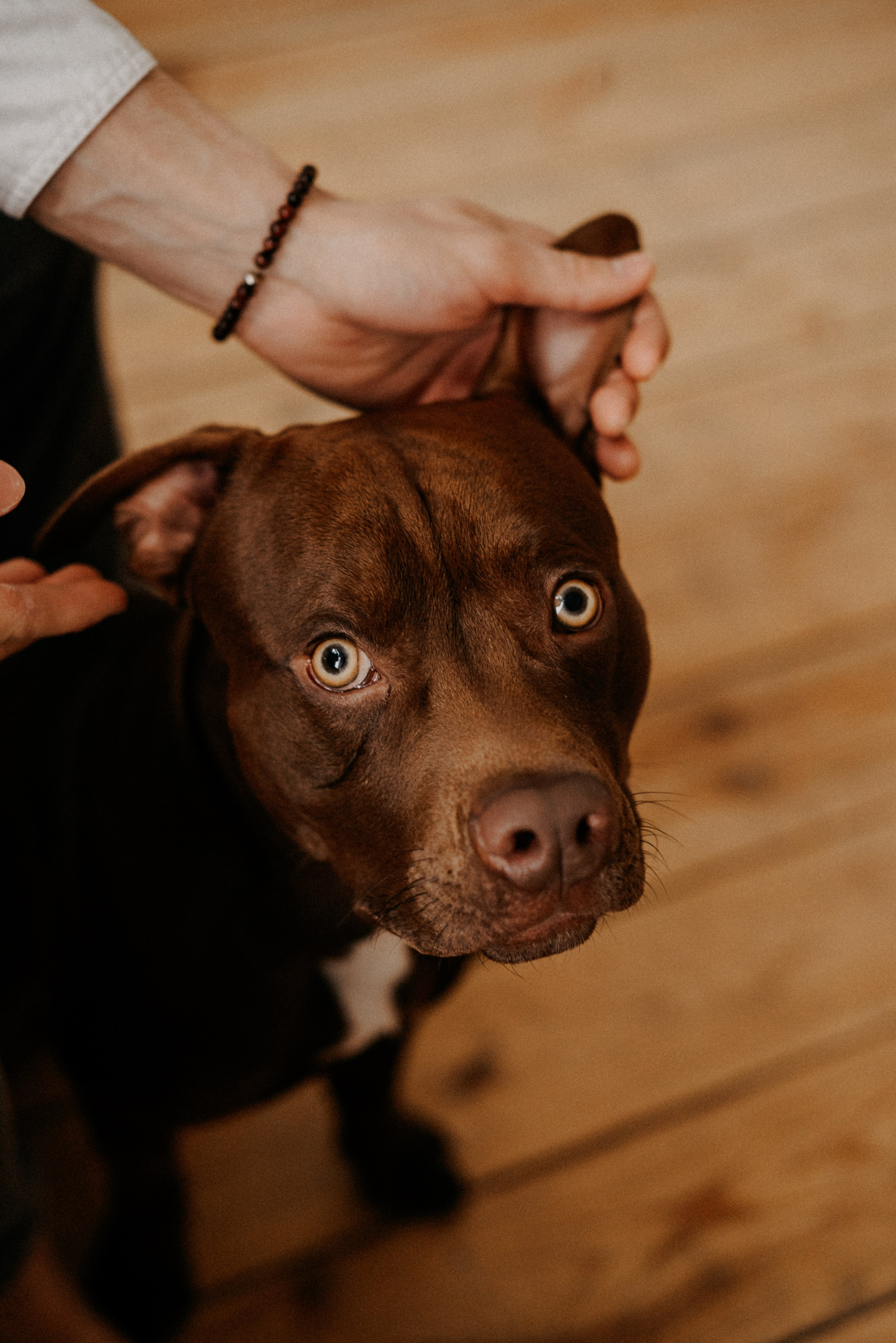 В любви… ЧУДО. Прекрасно все!. Семейный фотограф ЕЛЕНА ШАФИГУЛИНА