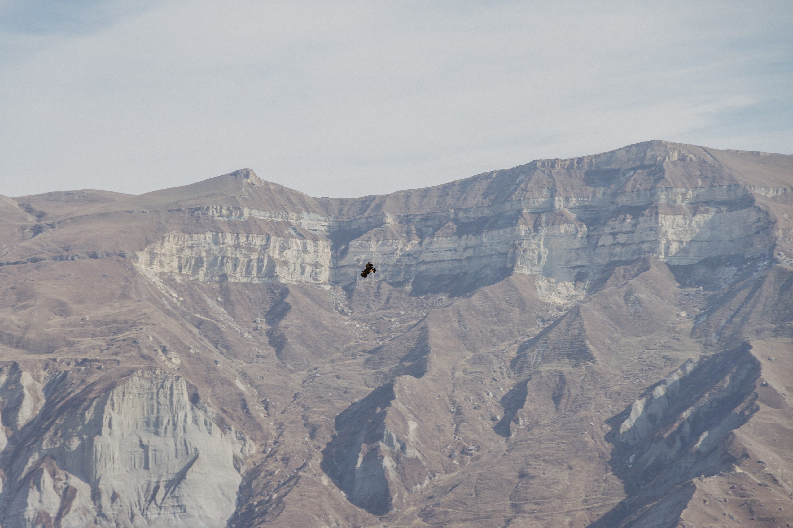 Дагестан. Ноябрь 2025. Валерия, репортажный фотограф в г. Москва и г. Владикавказ