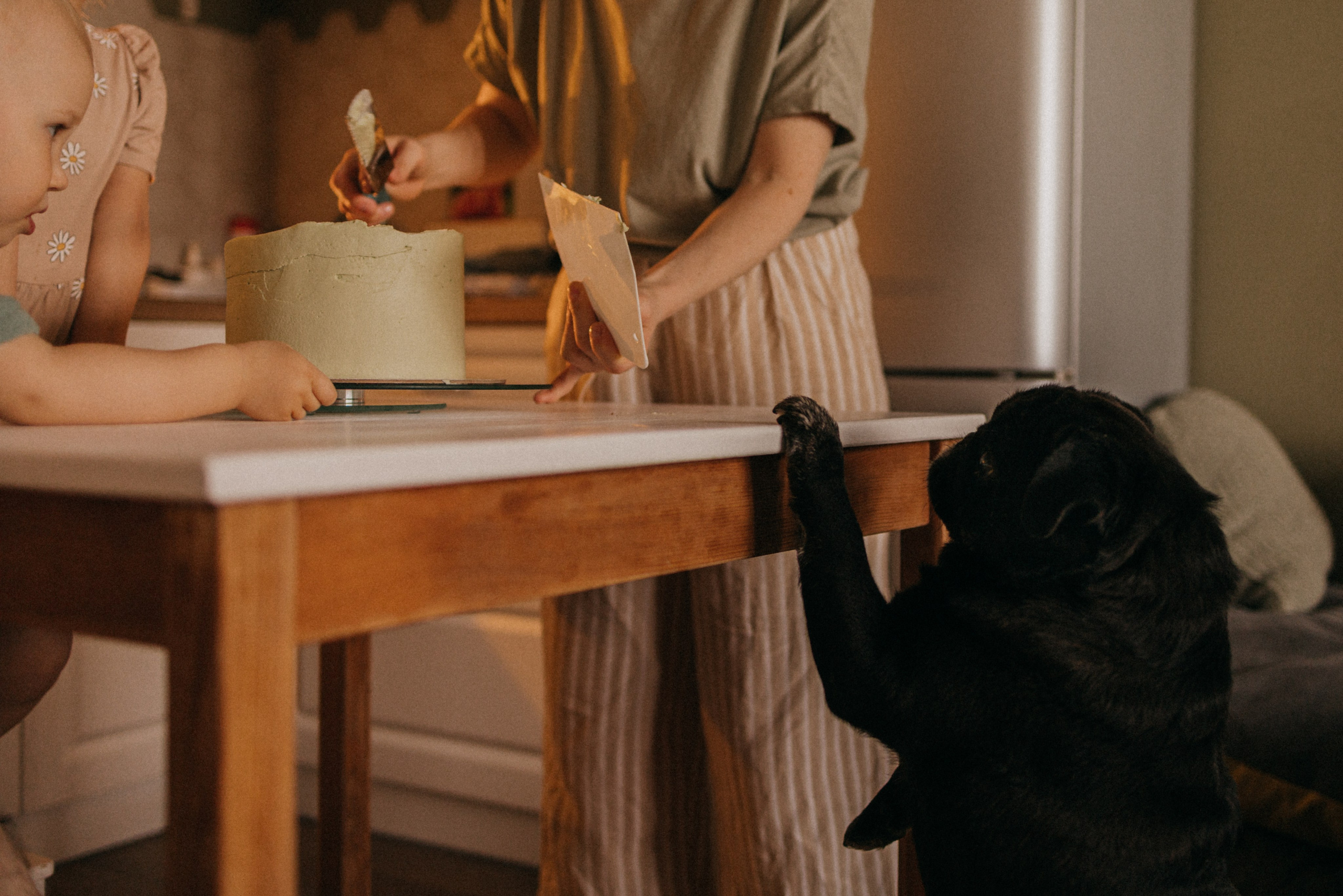 День рождения дома. Фотограф Настя Леонова