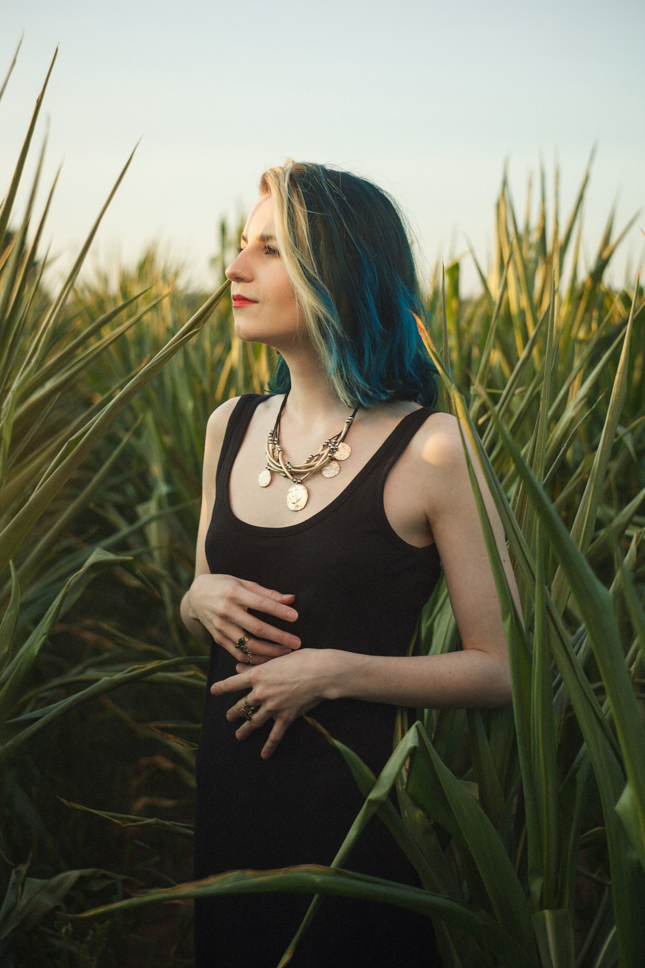 В кукурузе…. Стас Никоненко • Кинооператор • Фотограф