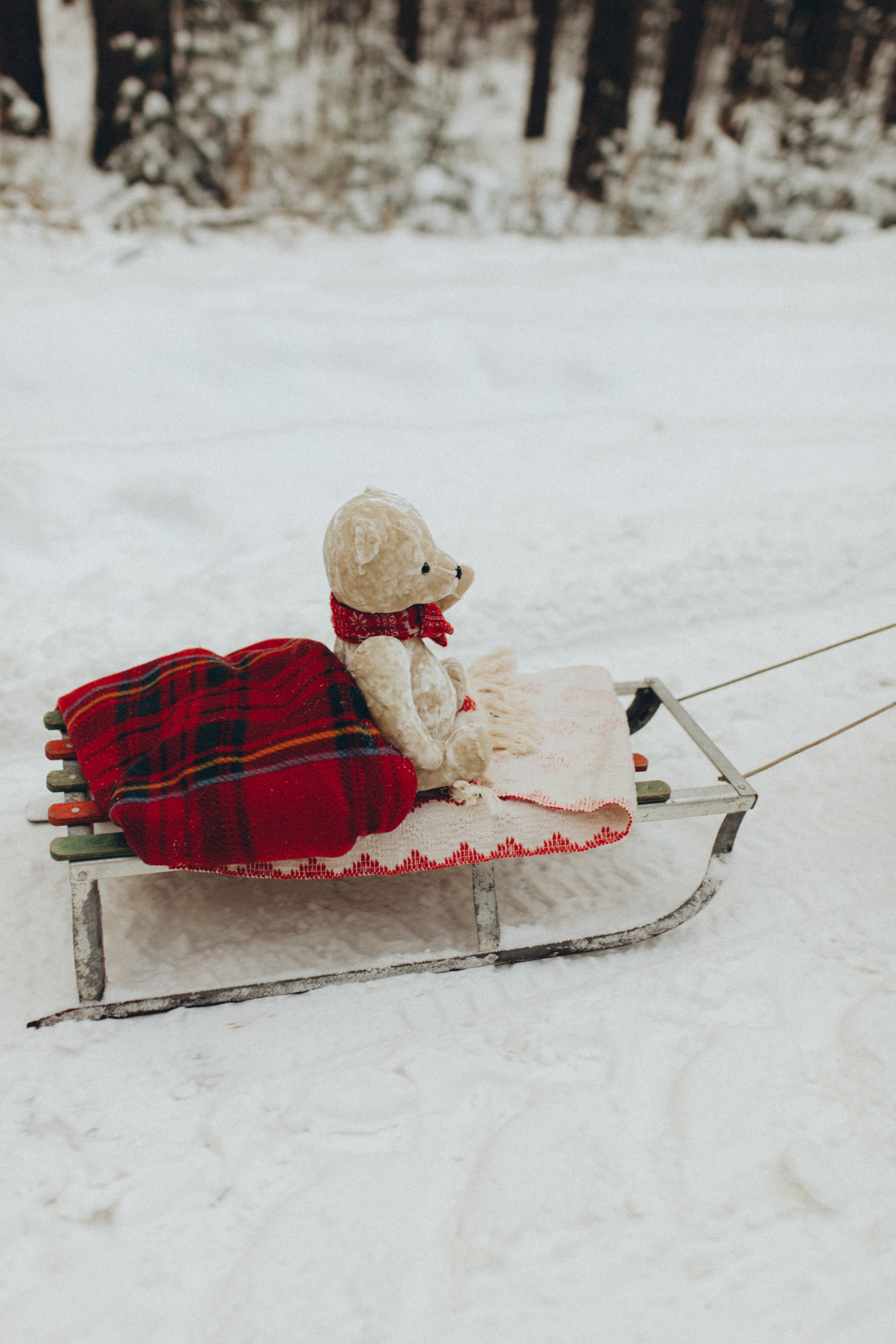Вика, Кира и Максим. Фотограф в Нижнем Новгороде Лебедева Елена