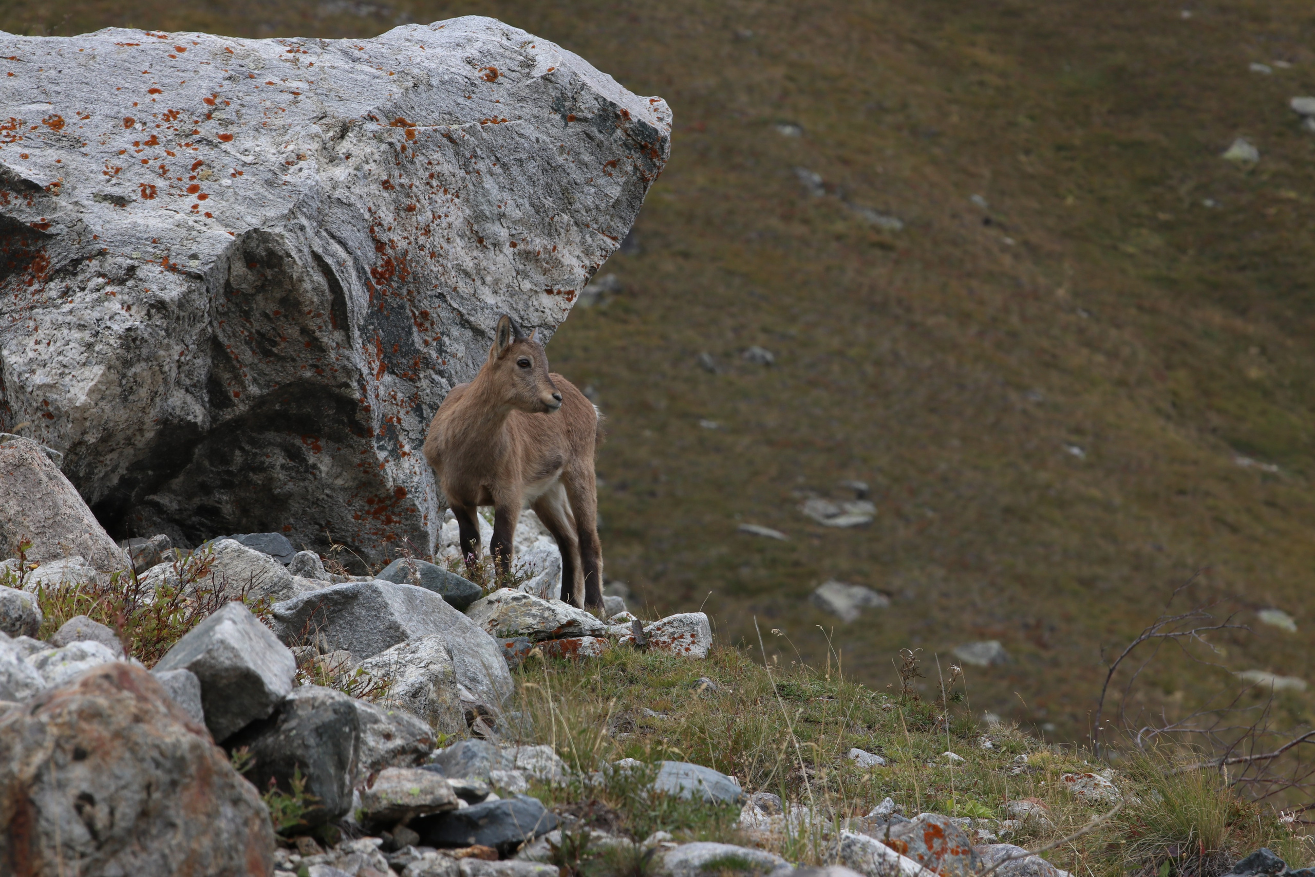 Приэльбрусье. Сентябрь 2023. Путешественник-фотограф из Санкт-Петербурга Татьяна Свистулина