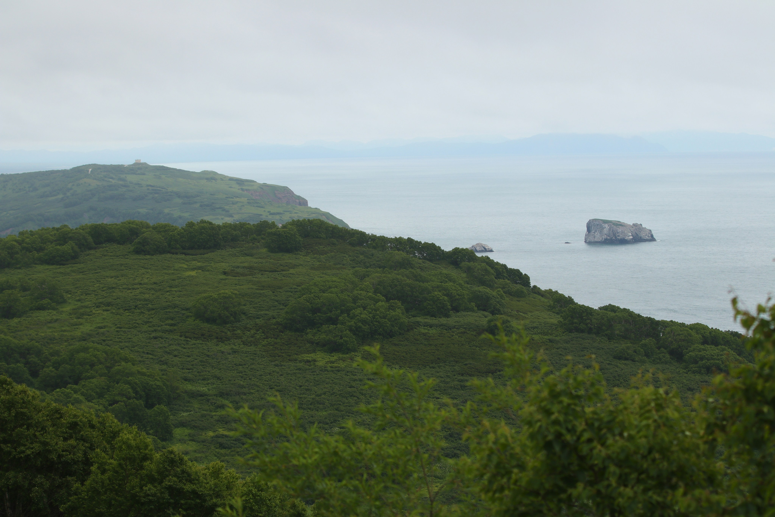 Камчатка и о. Парамушир. Июль 2024. Путешественник-фотограф из Санкт-Петербурга Татьяна Свистулина