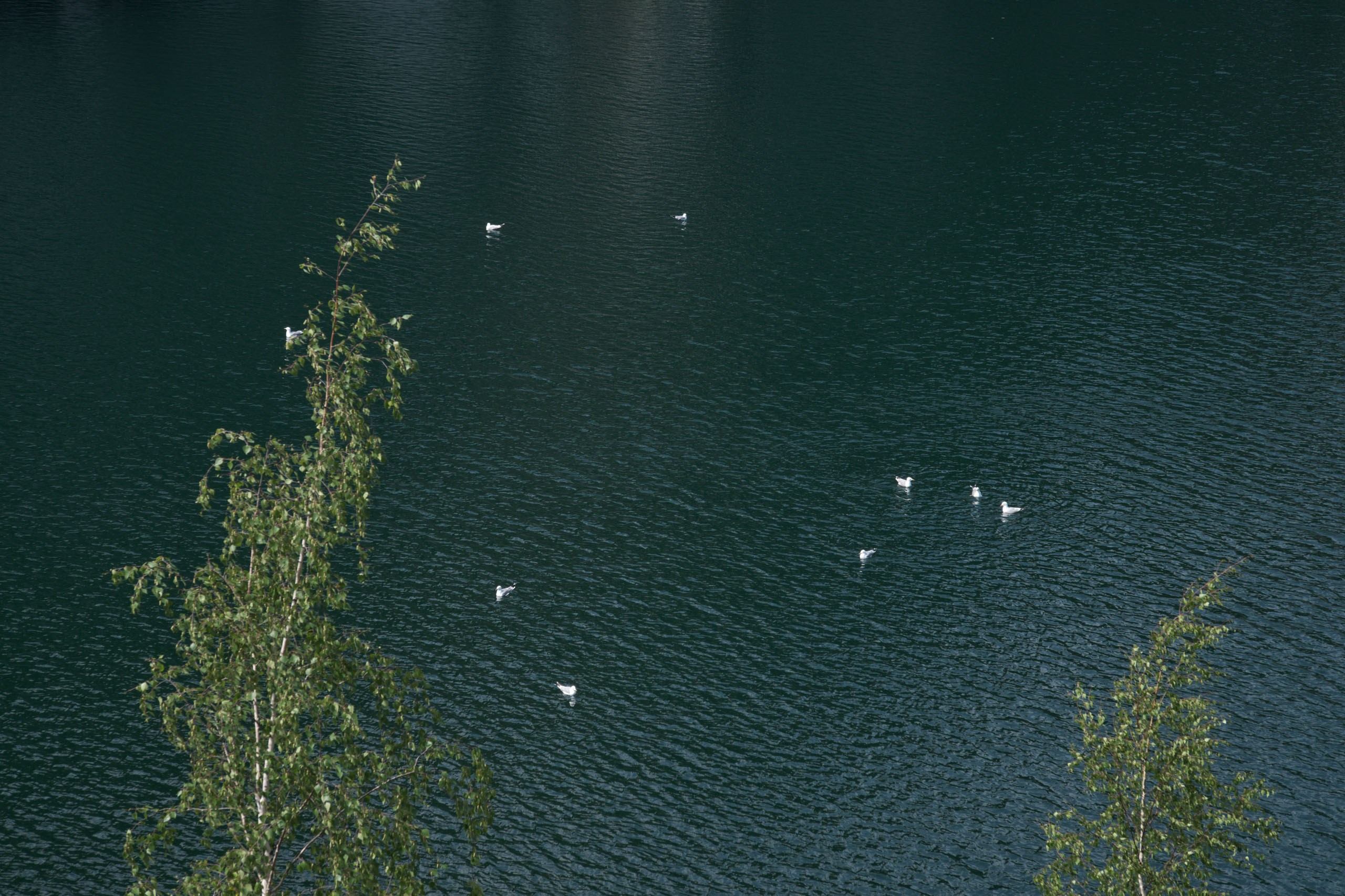 Фотоальбом с разными съёмками