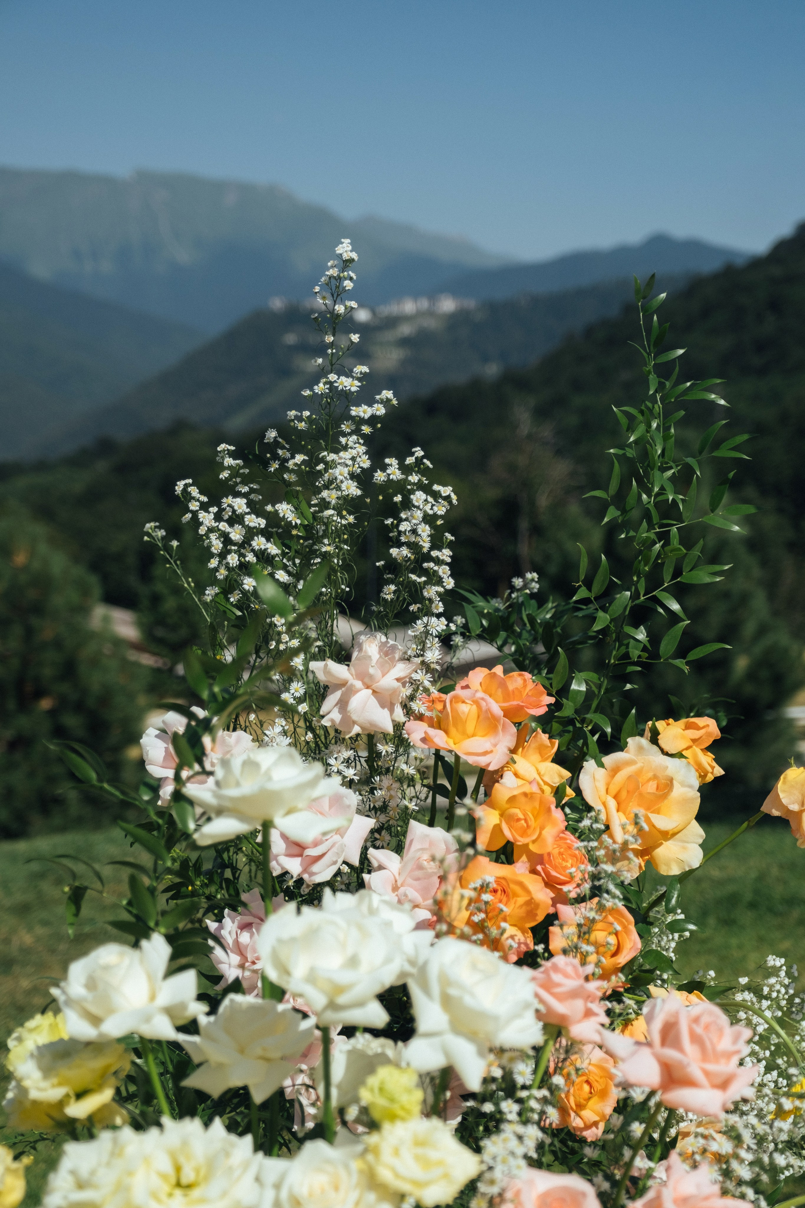 Змея и Мышь. Свадебный Видеограф Фотограф в Сочи