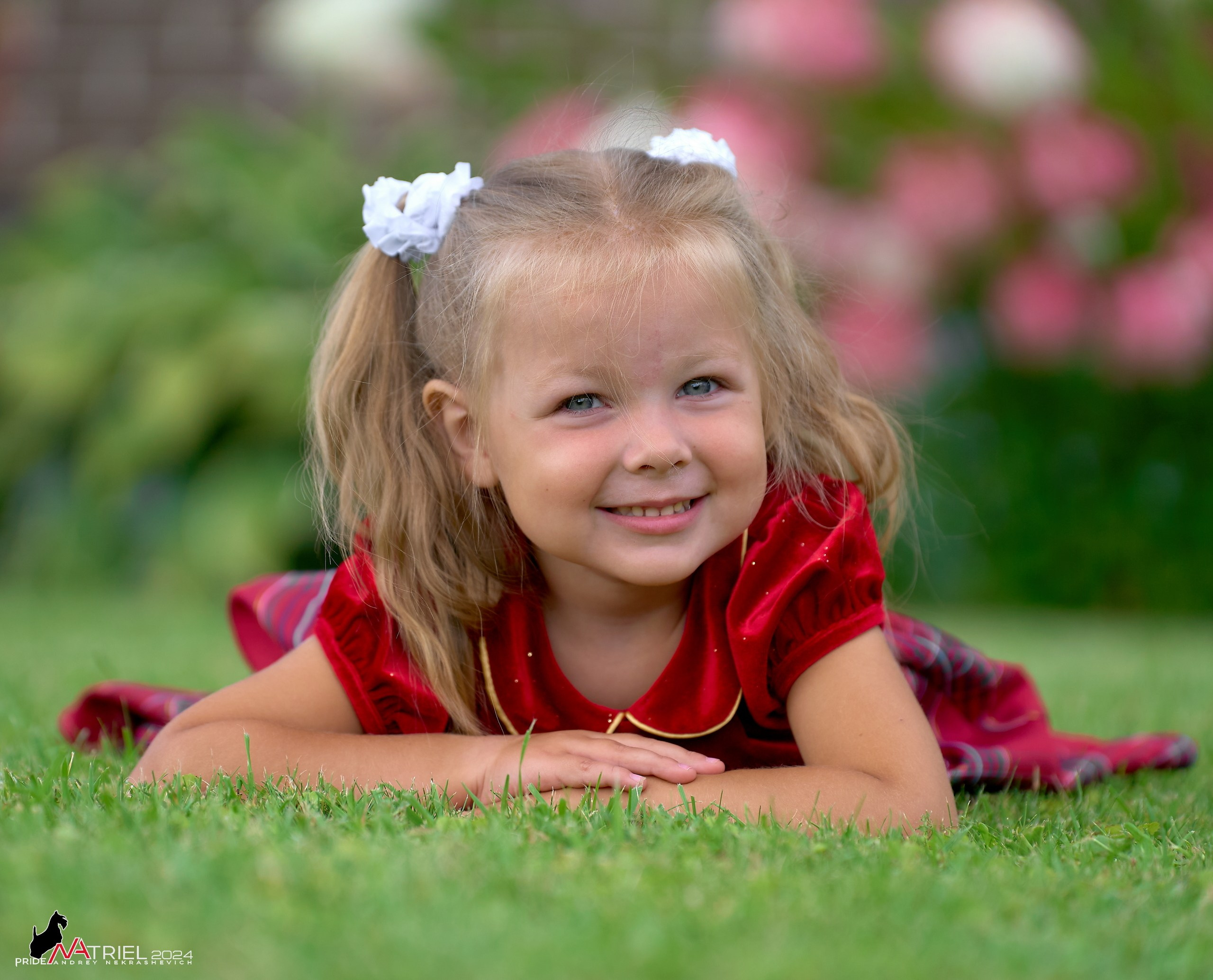 Скотчесемья «ИмпериалИти»