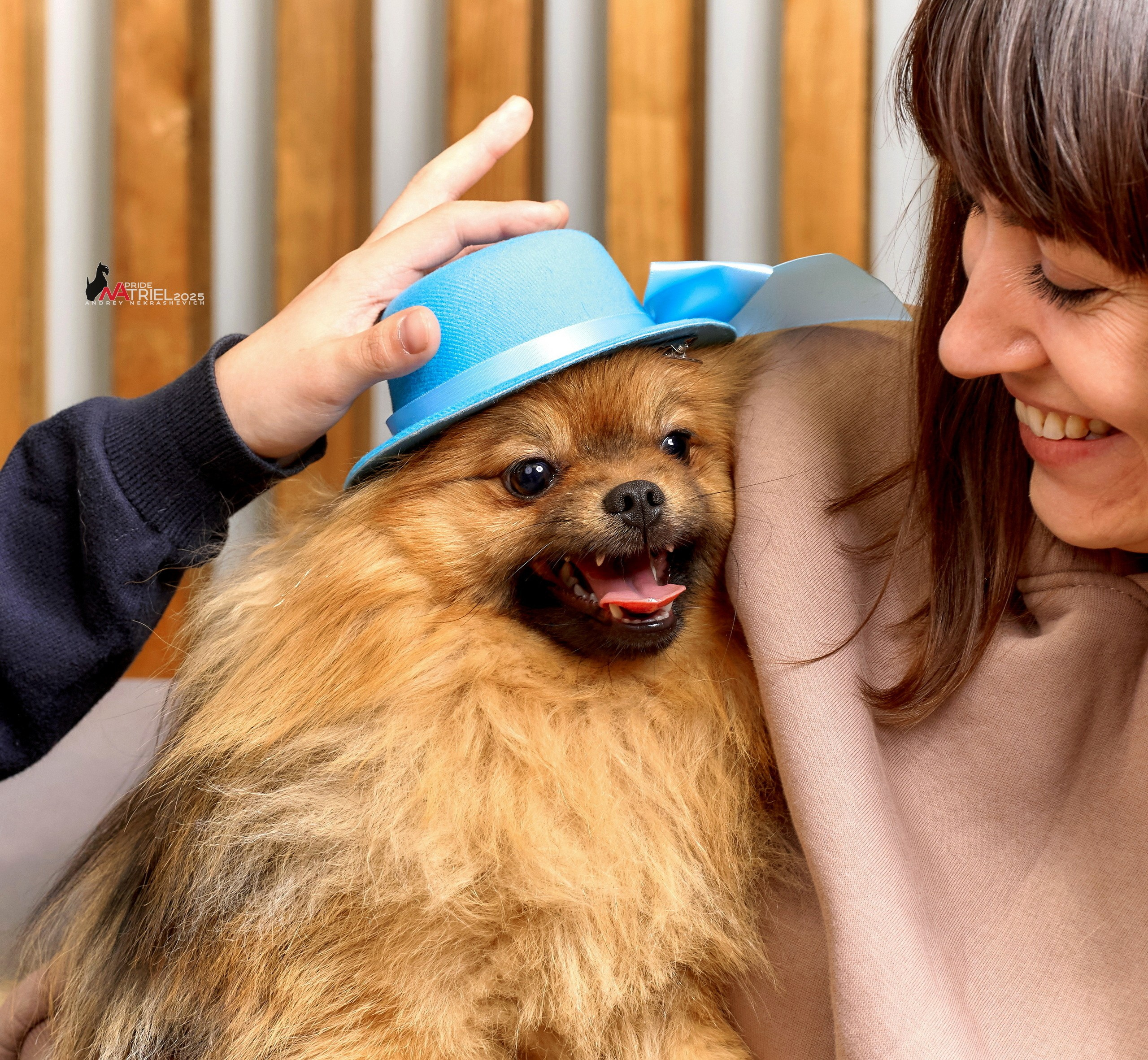 Репортаж GROOM с мобильным светом