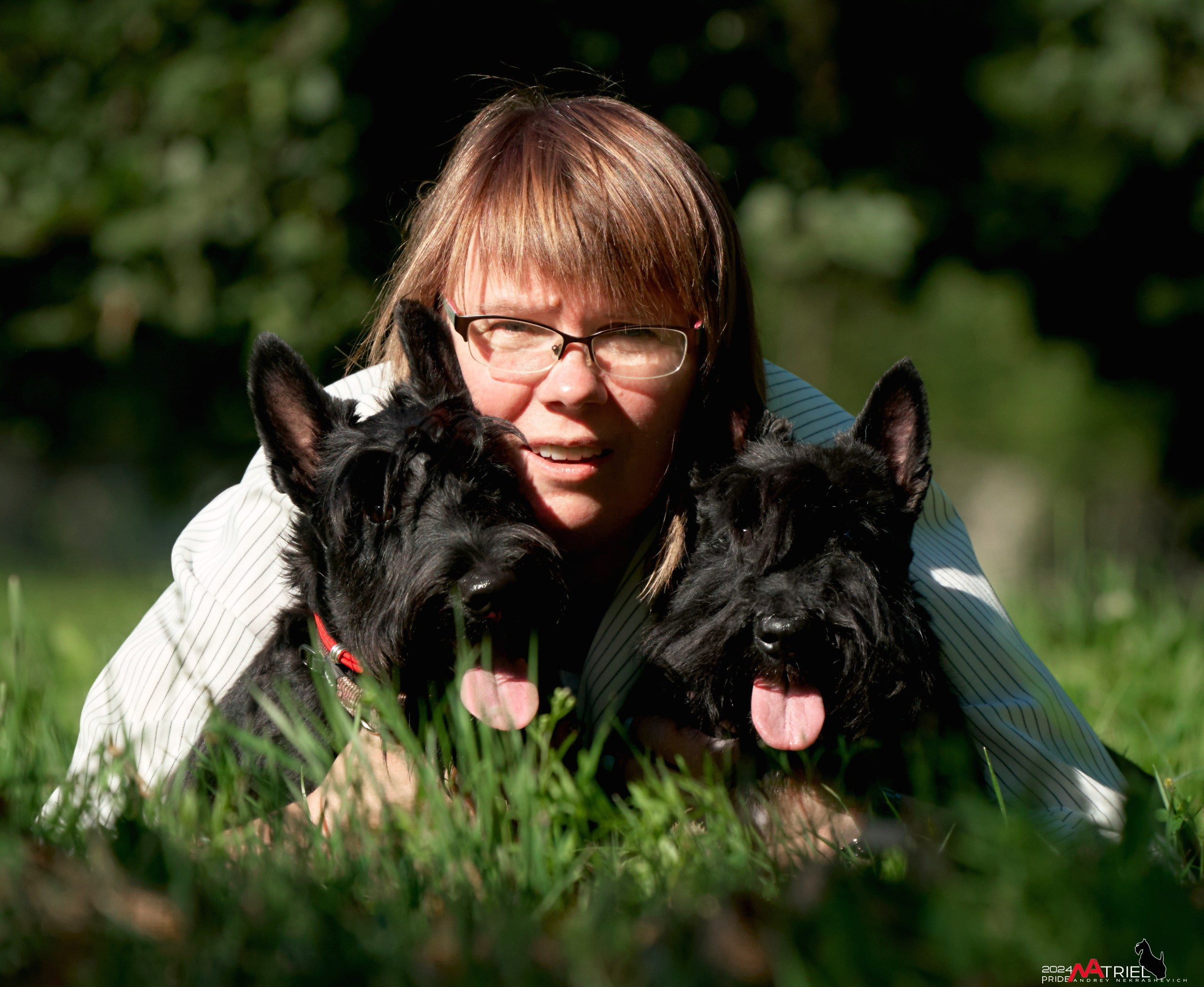 Семейная фотопрогулка с собаками