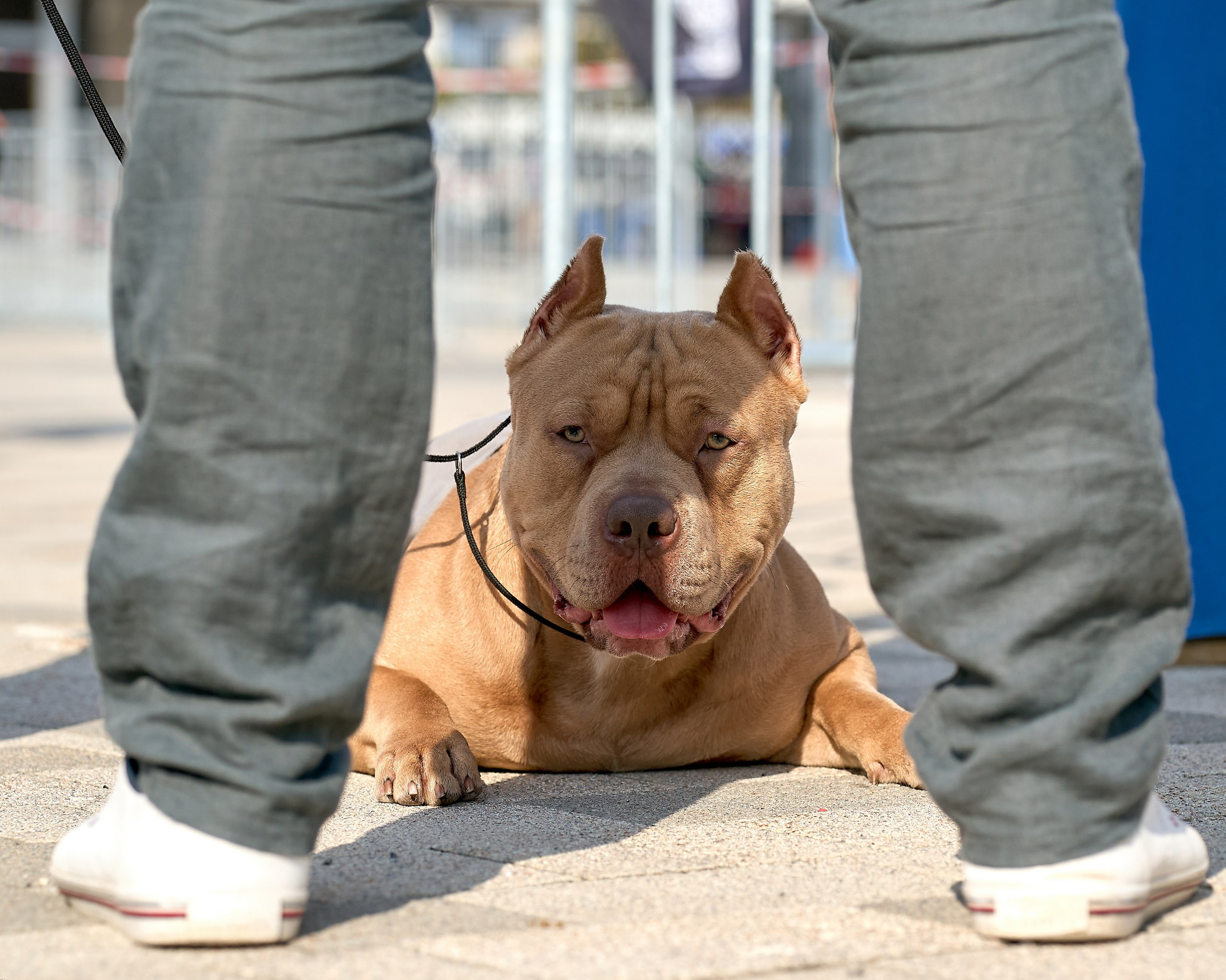 Съемка на выставке Ясенево