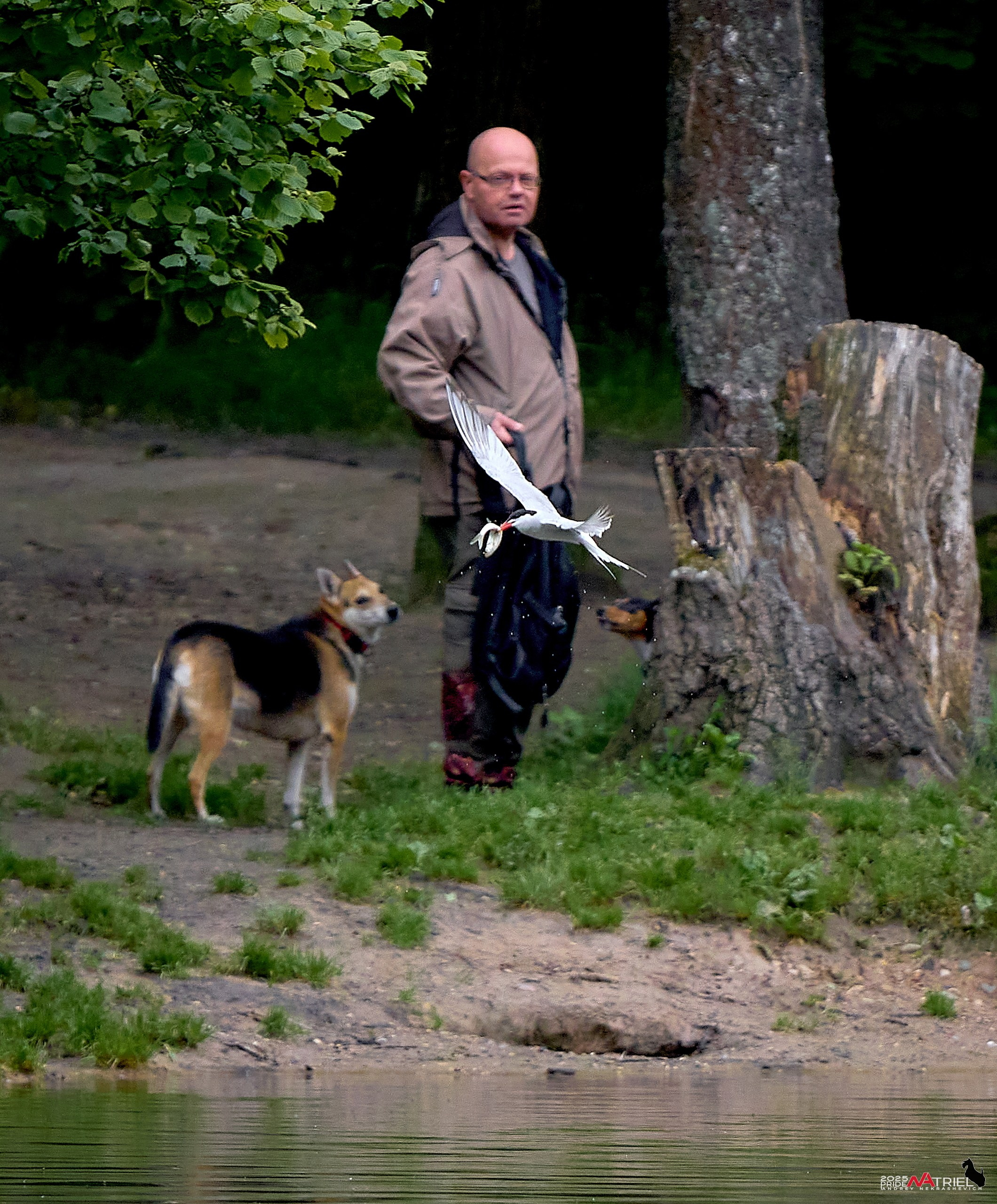 Съемка в парке на воде