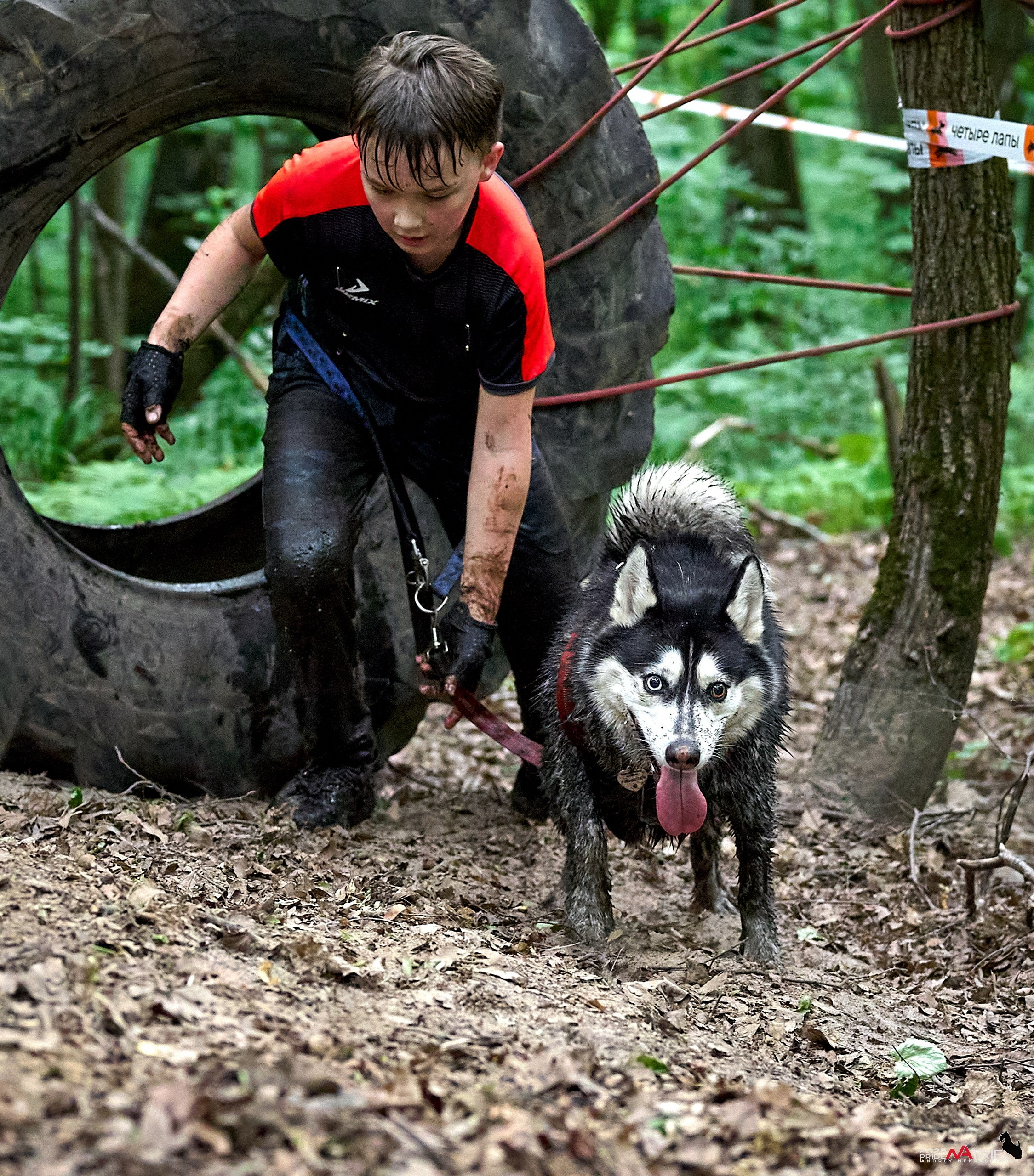 Russian Extreme Dog Trail — 2025