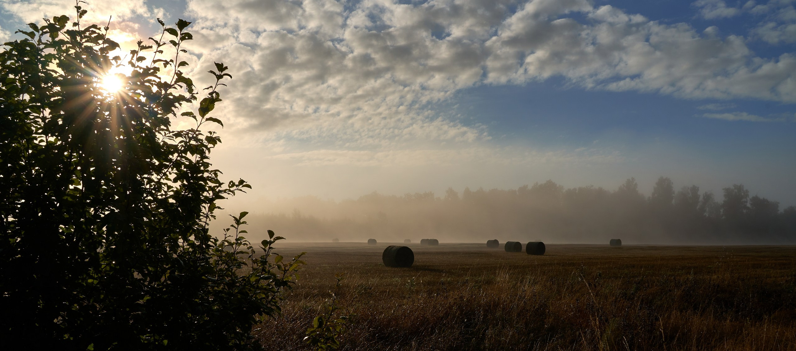 Пейзаж — галерея NATRIEL