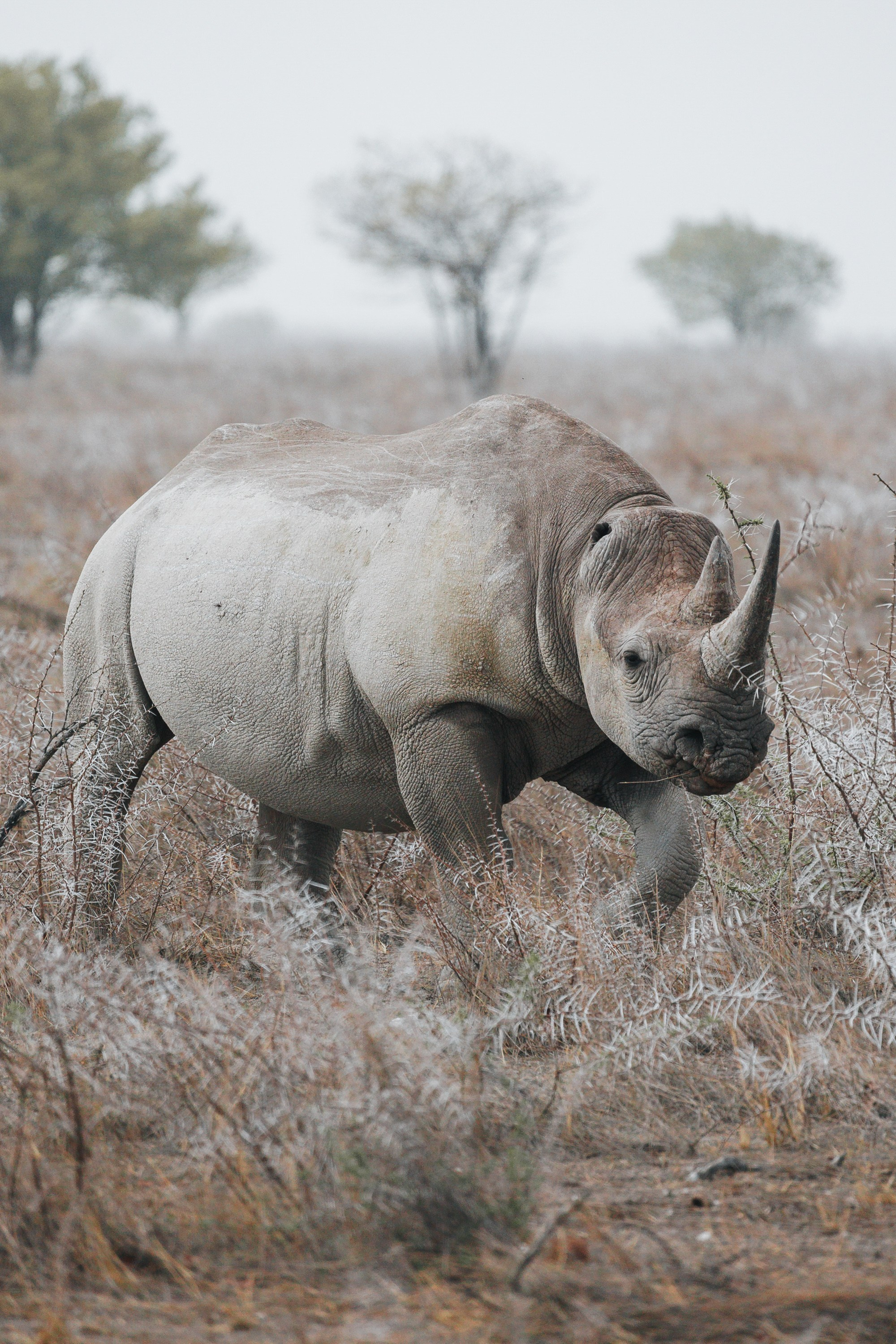 НАМИБИЯ. Роадтрип