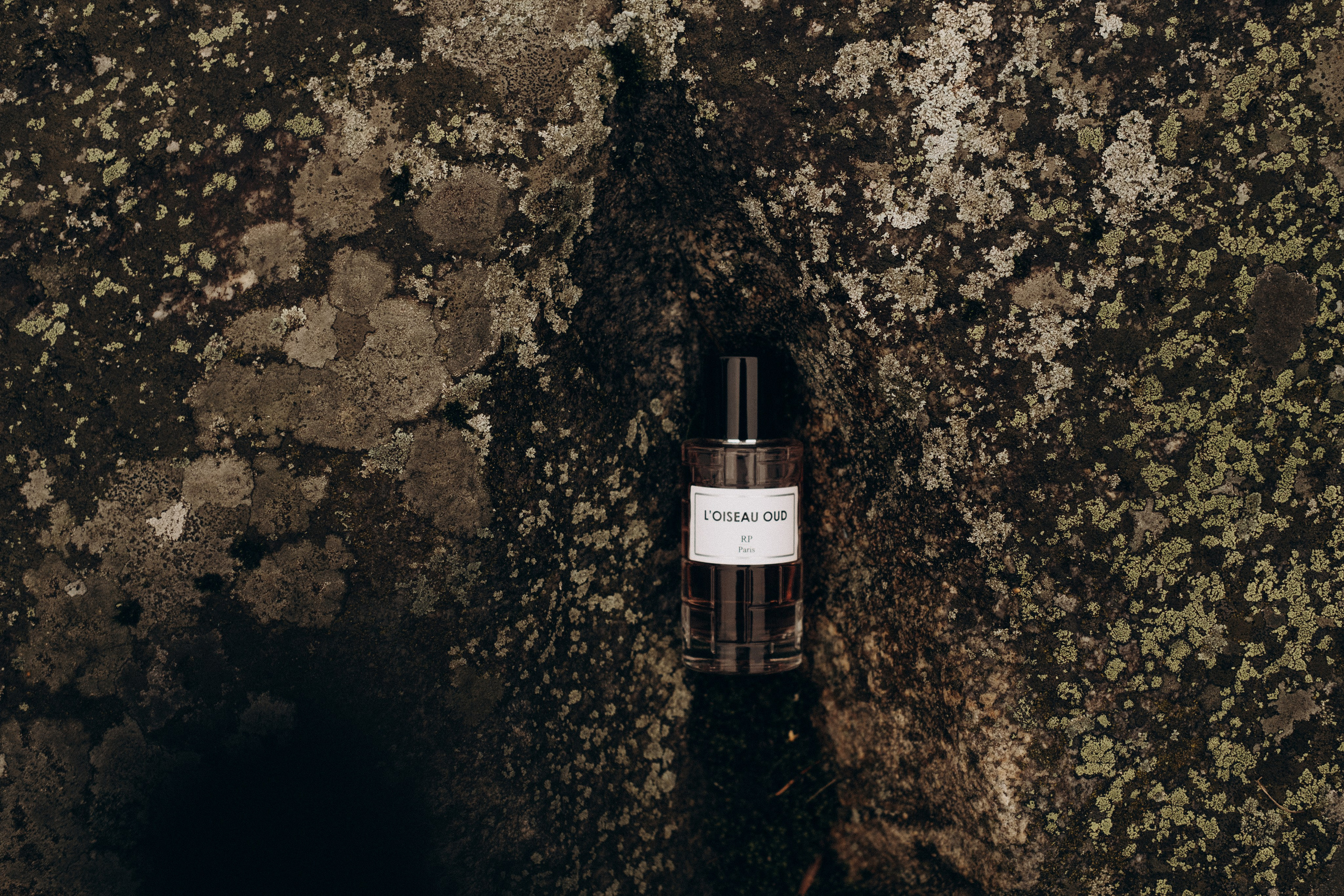 Съемка для брендов. Фотограф в Москве (готова приехать к вам в город)