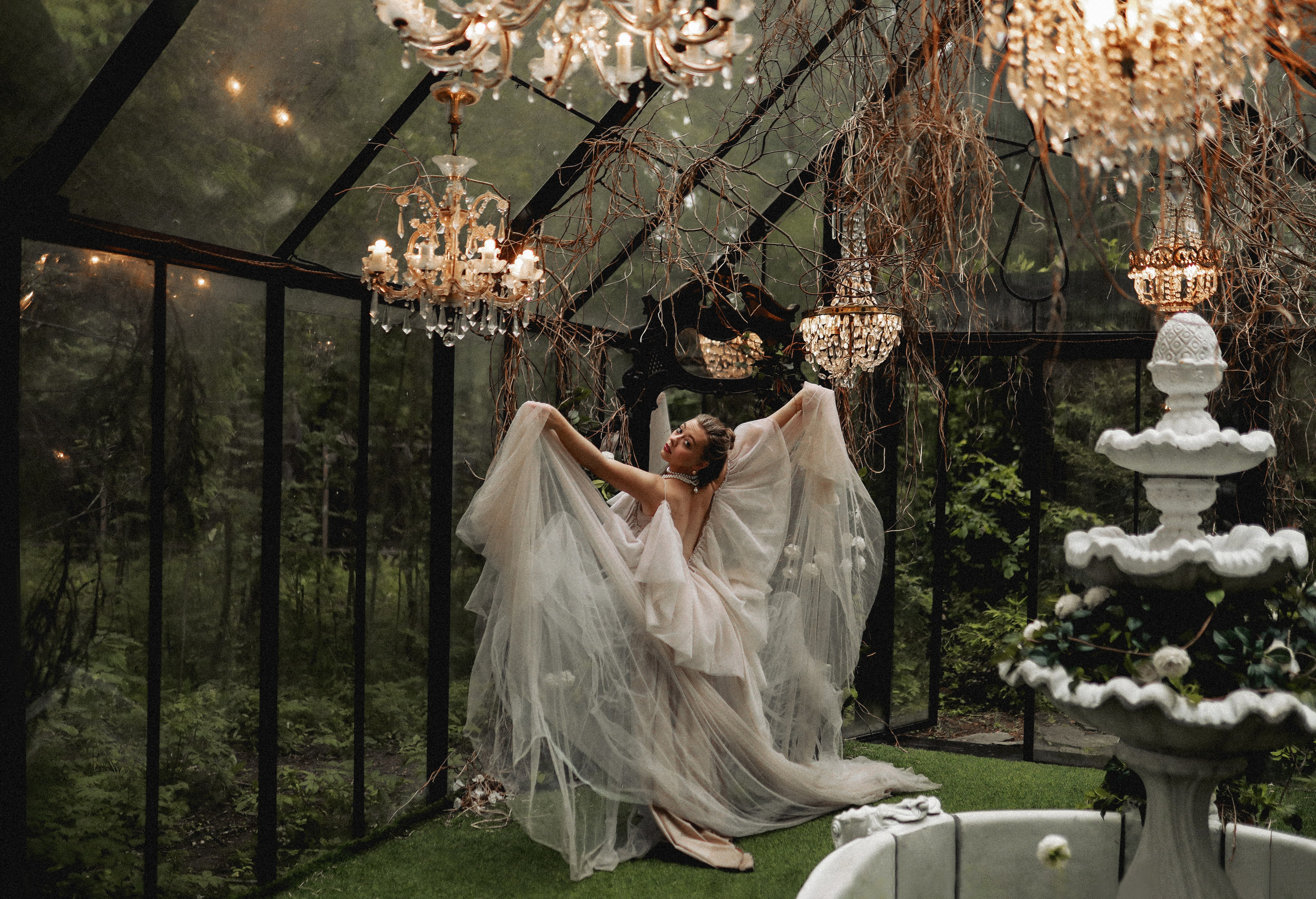 Зачарованный лес