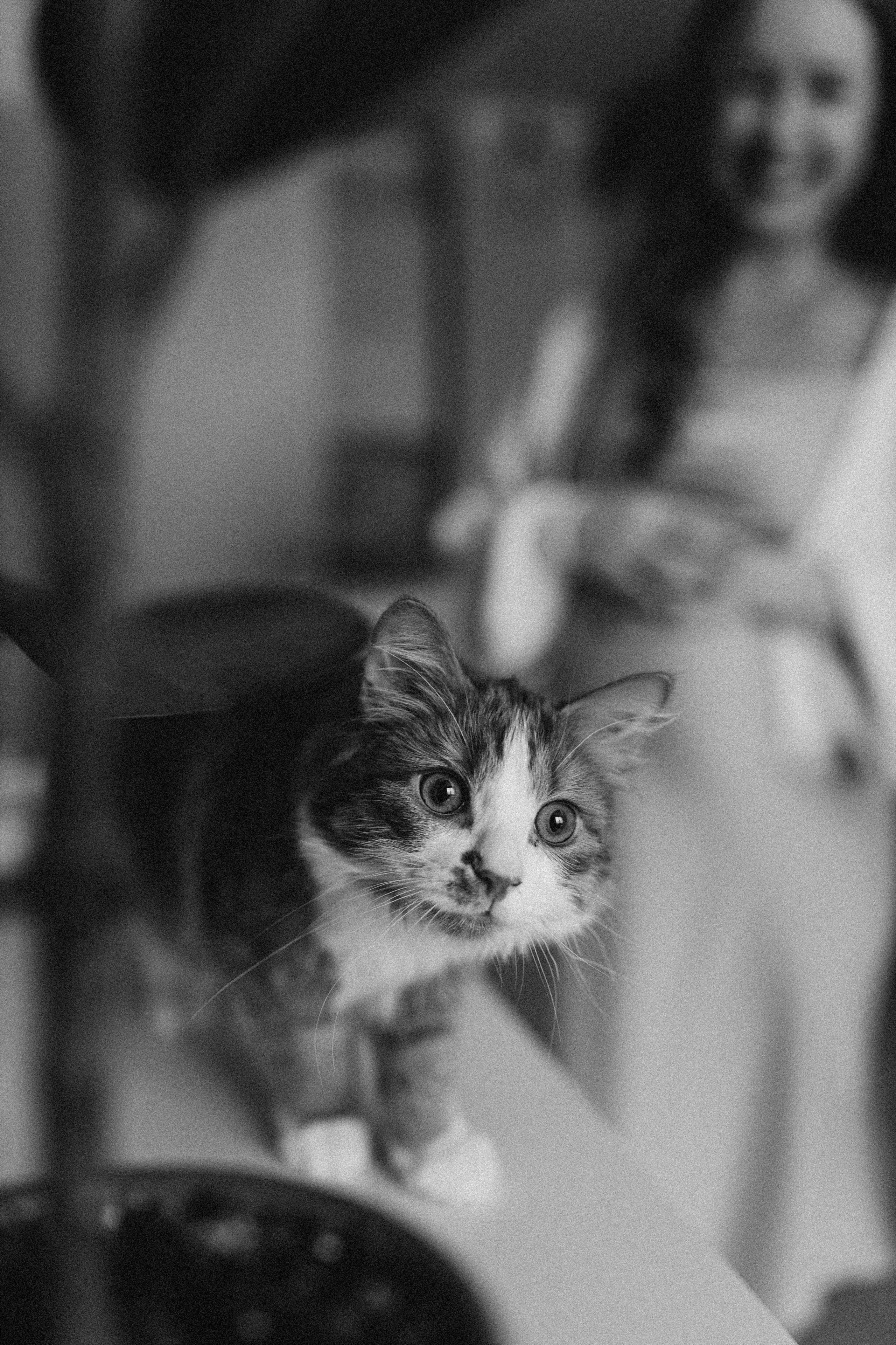 Тимур и Юля. Фотограф в Петербурге Ольга Стрельченко