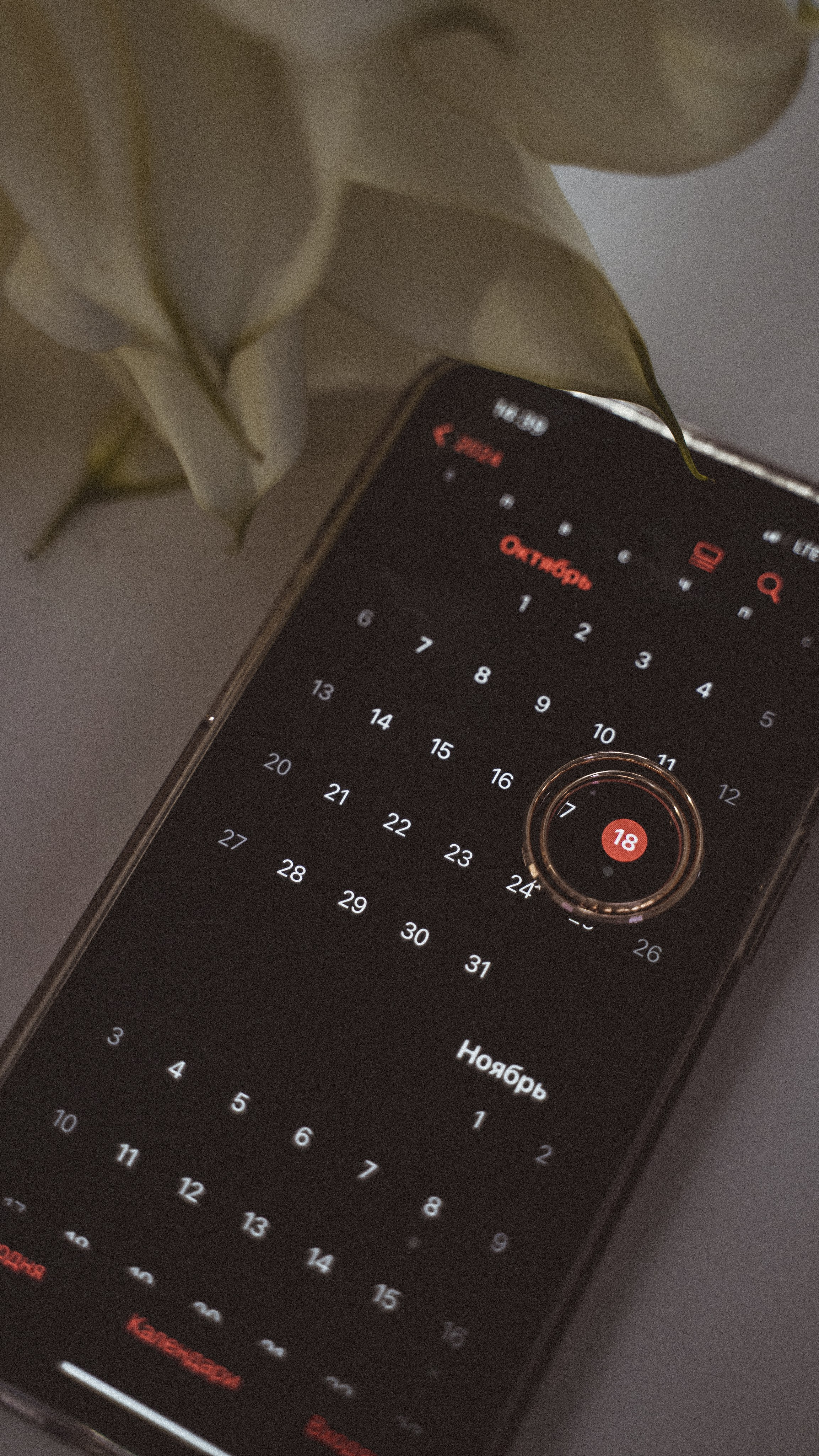 Мария и Александр. Свадебный фотограф Санкт-Петербург, Сочи, Питер, Выборг, Луга, Псков