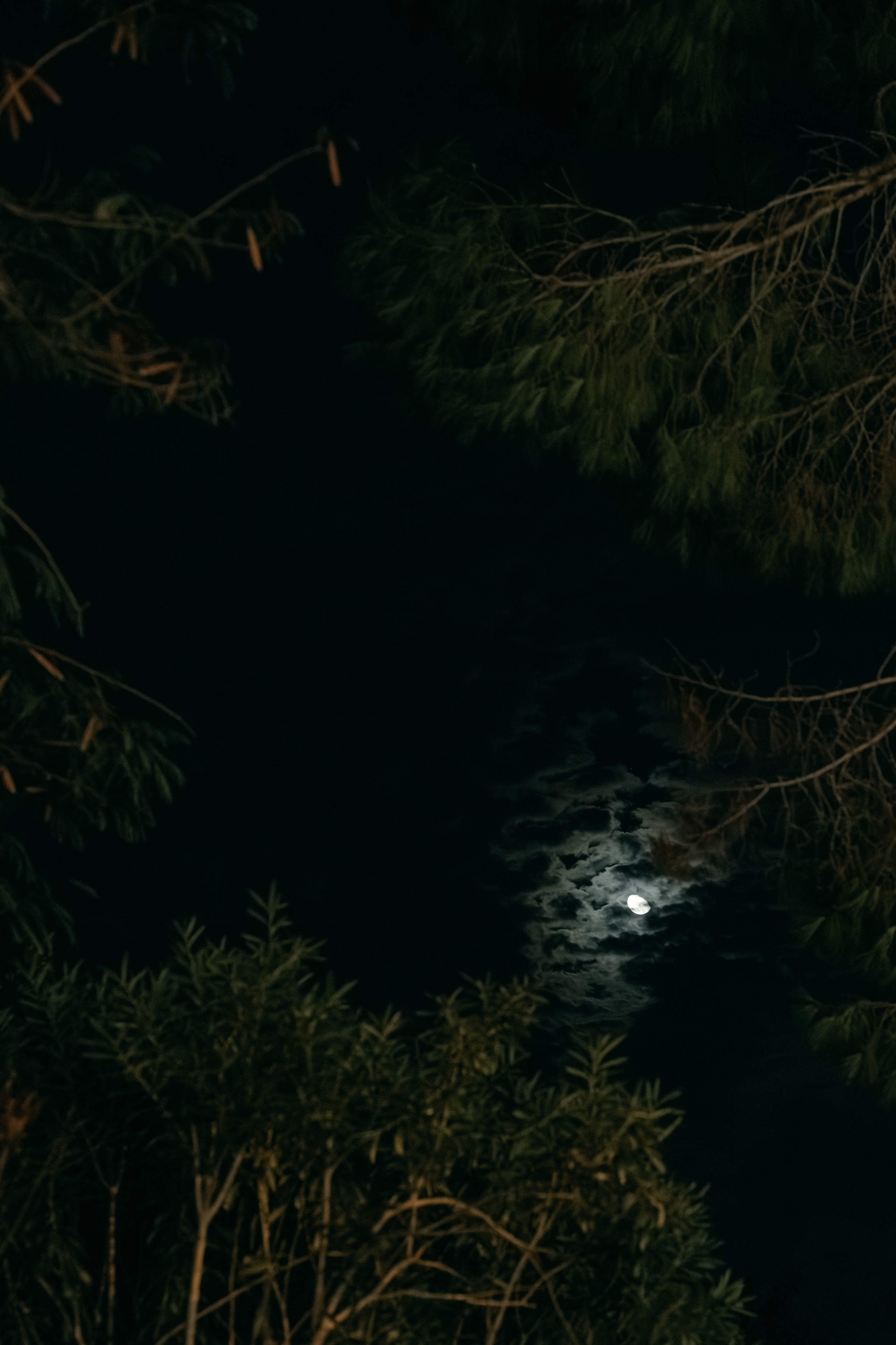 Once in October. Wedding & Documentary Photographer based in Nuremberg — available across Europe & Turkey | Vitalii Nasonov