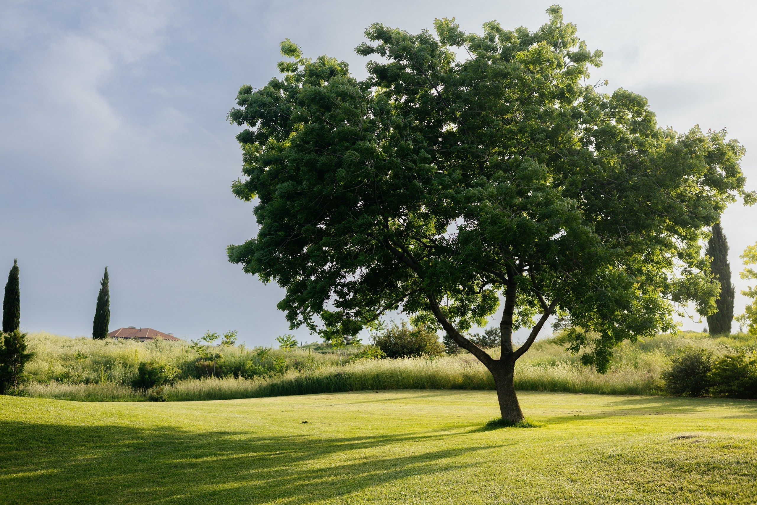 Архитектурная фотосъемка гольф клуба Геленджика. Worldwide Wedding Photography Demskoy Studio