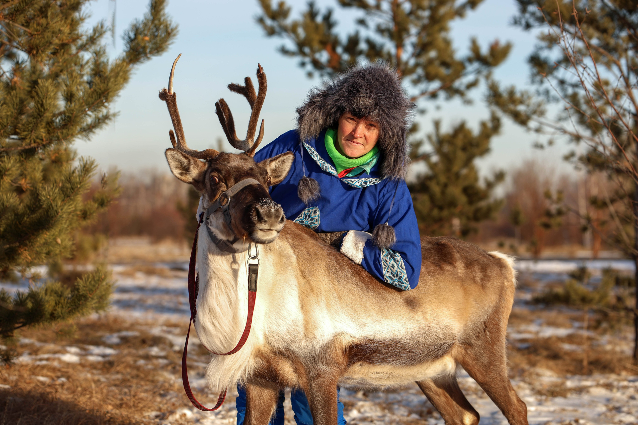 Олениха Нося 2024. Конный фотограф в Красноярске — Любовь Похабова