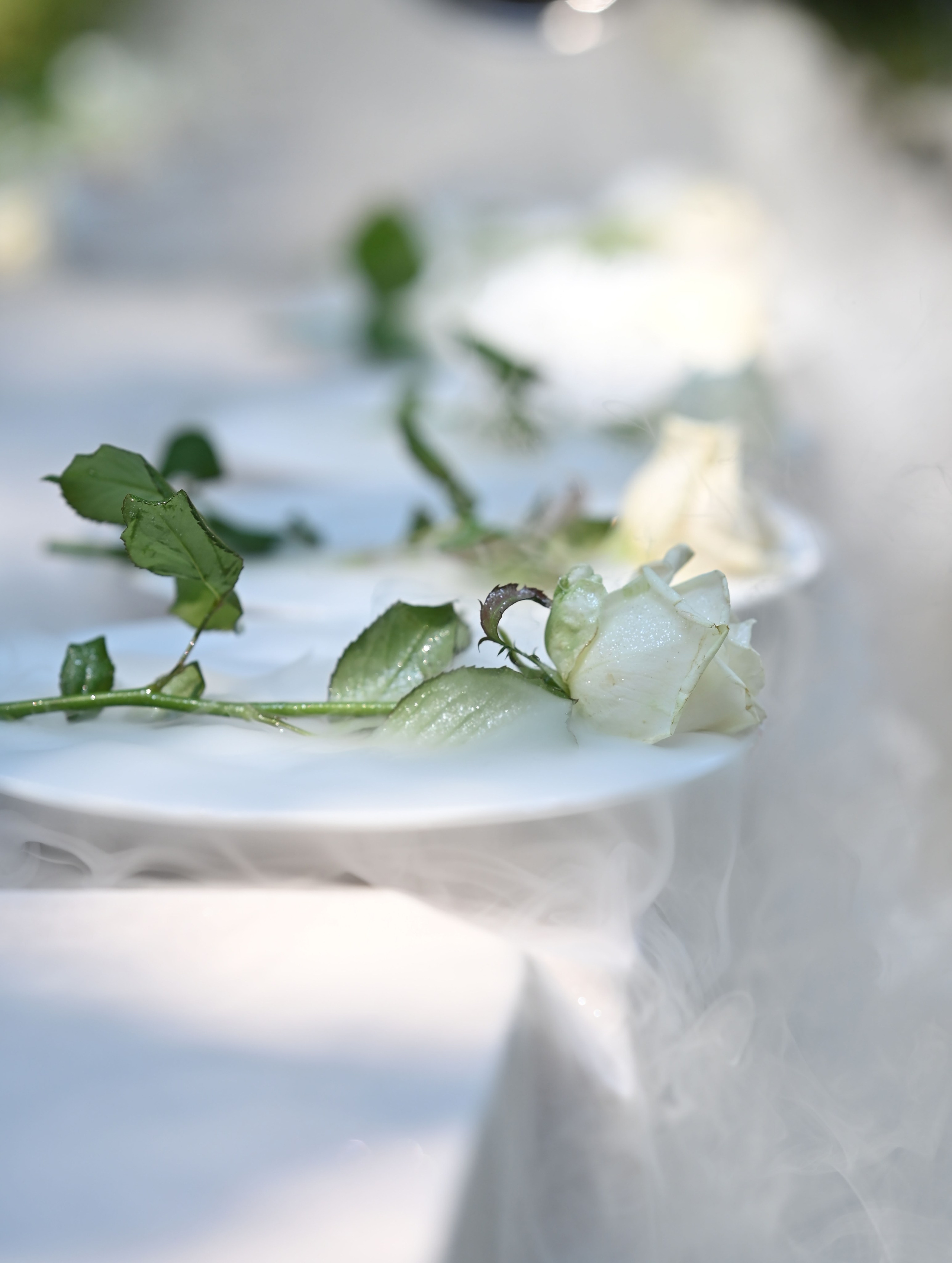 «Алиса в стране чудес». ZDARONOKIA Репортажный фотограф