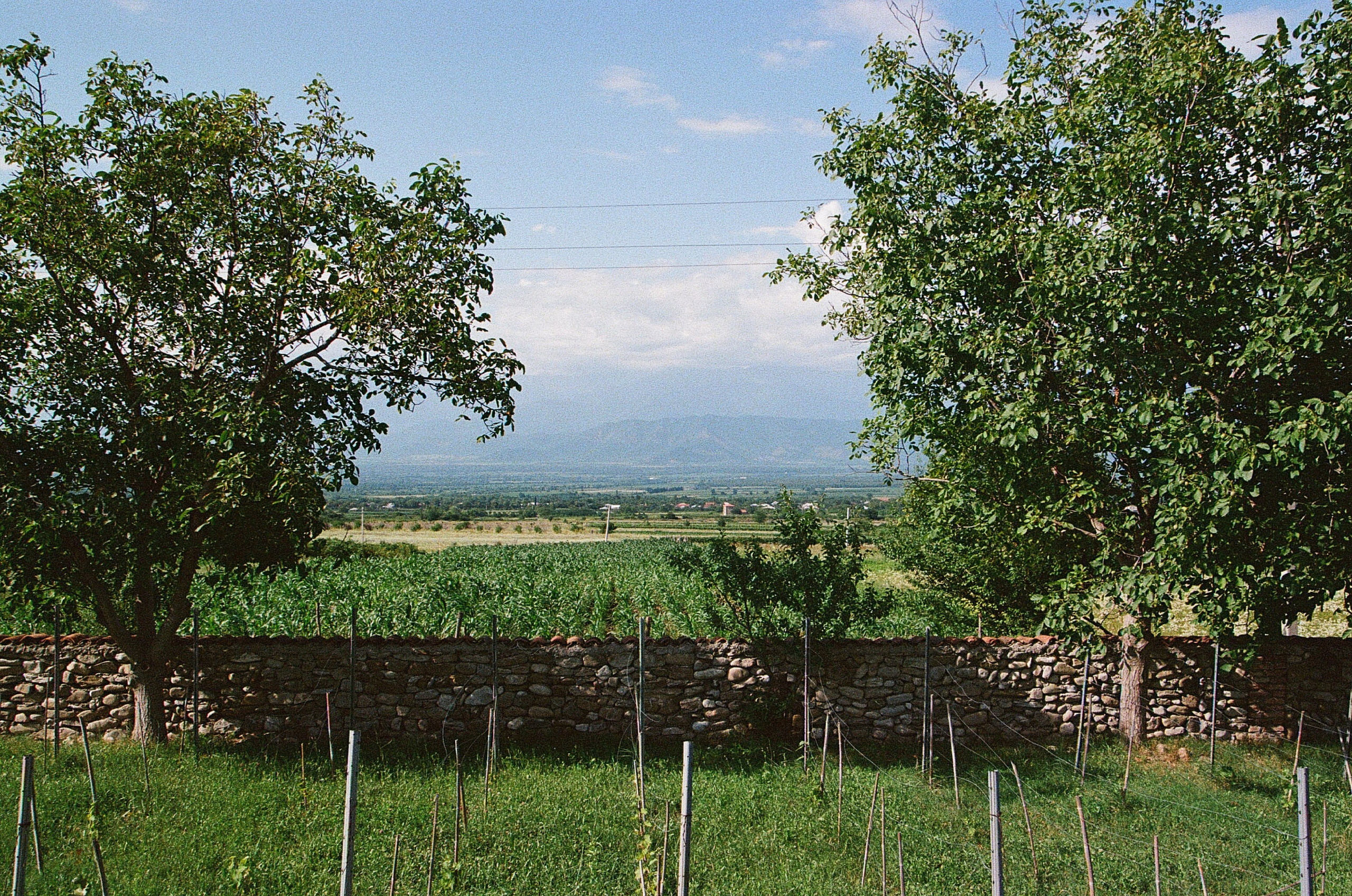 ГРУЗИЯ. ПРИРОДА.25. Профессиональный фотограф Федотова Арина