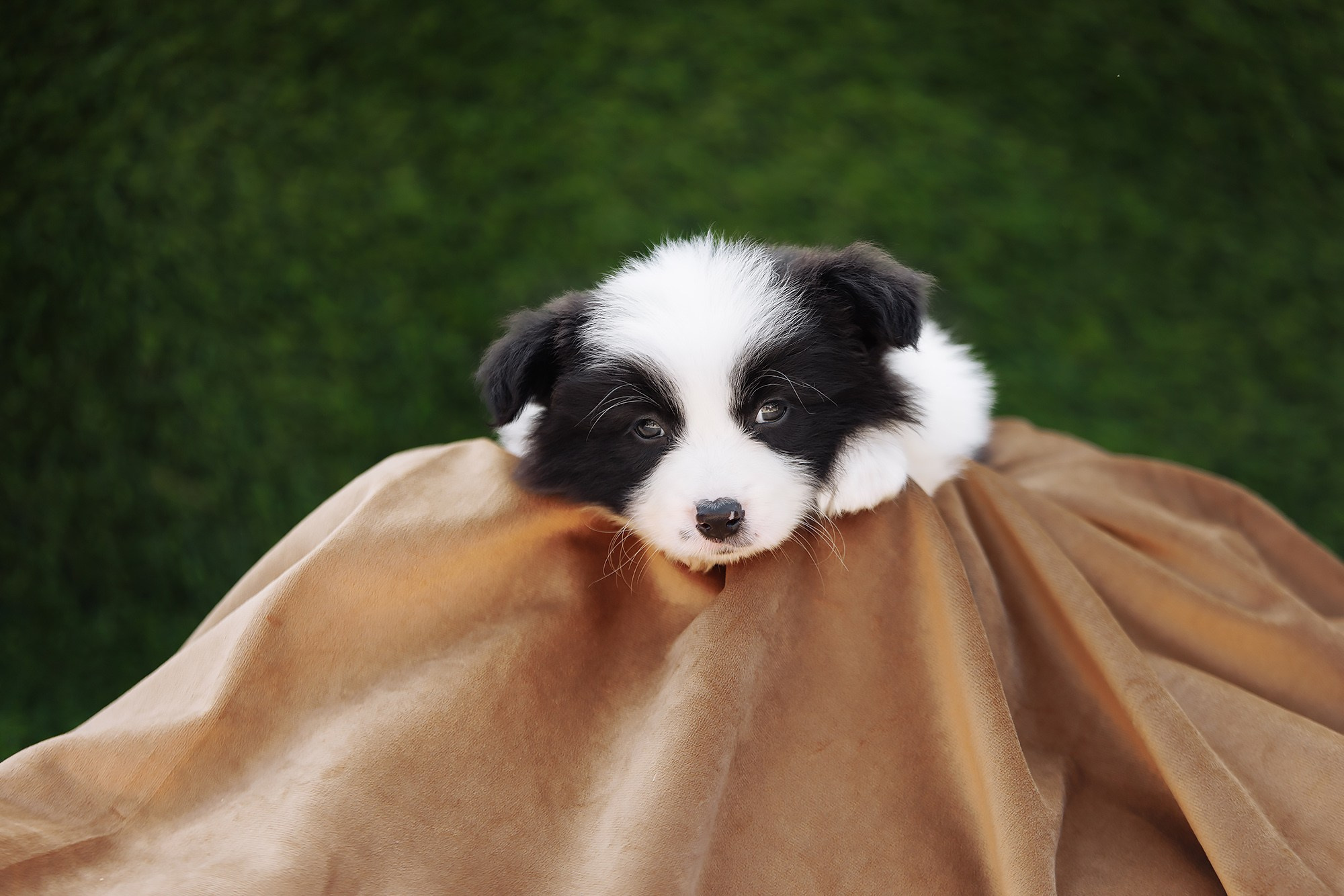 Новый лист. О нас