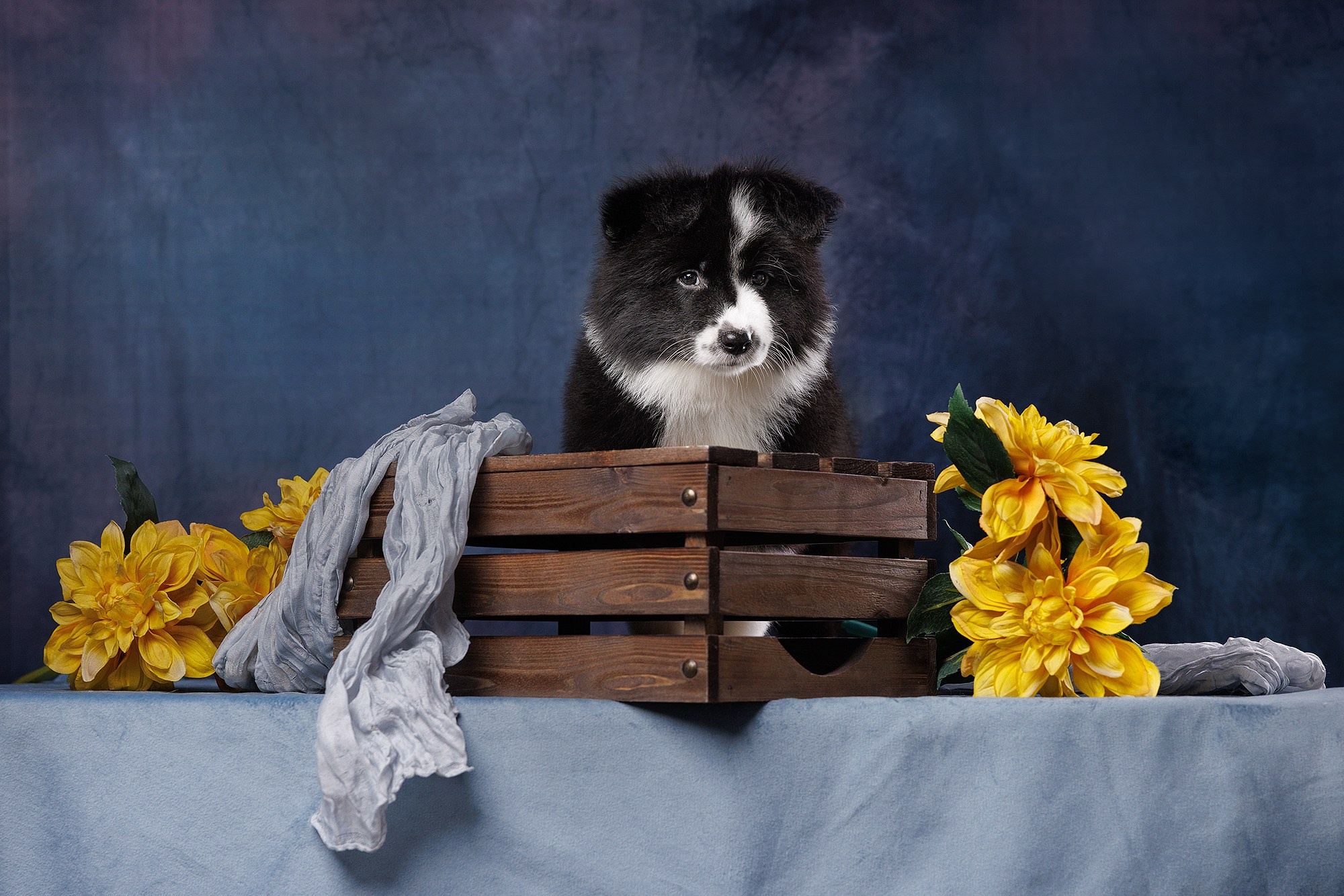 На водной основе. О нас