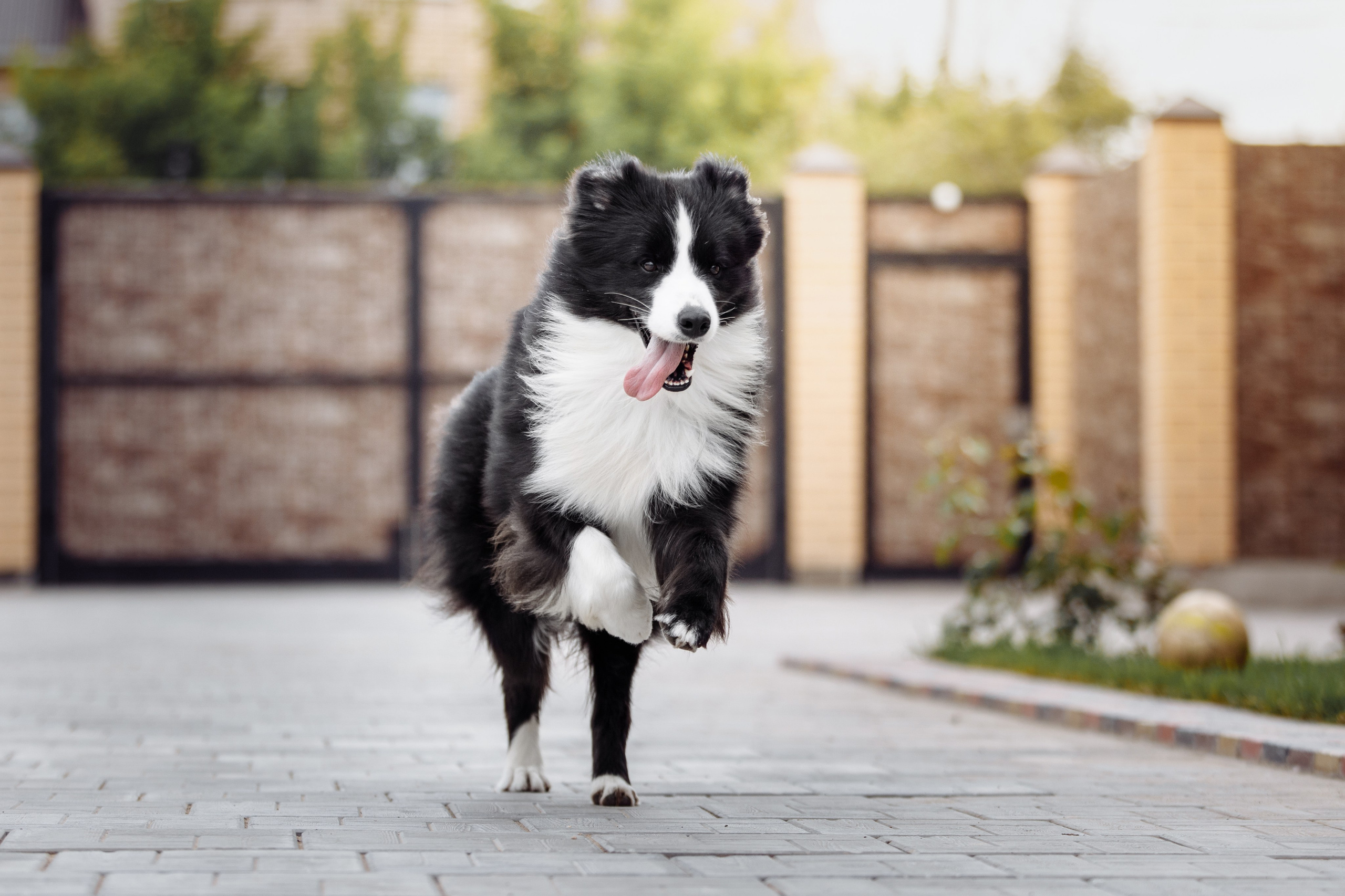 Свое место. О нас