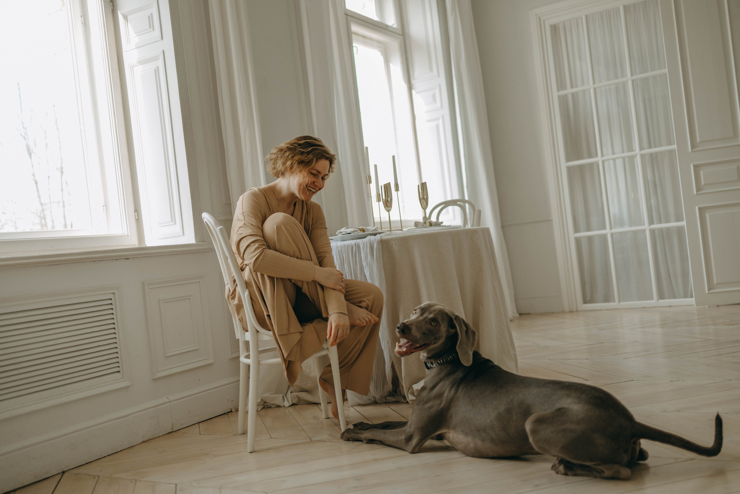 Фотосессия в студии с собакой. Фотограф-анималист в Екатеринбурге | Кристина