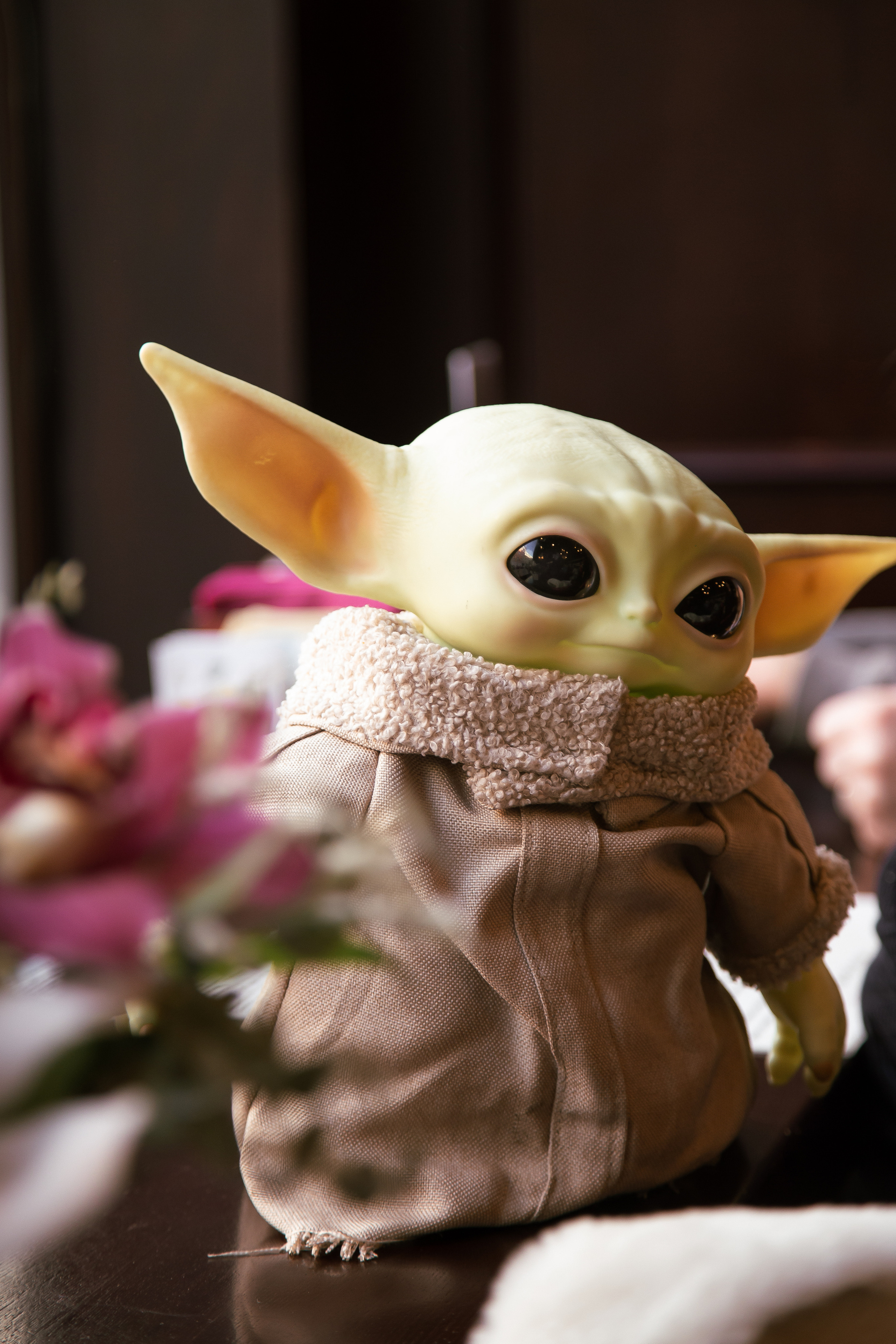 Школа голоса. Свадебный Семейный Репортажный фотограф в Москве