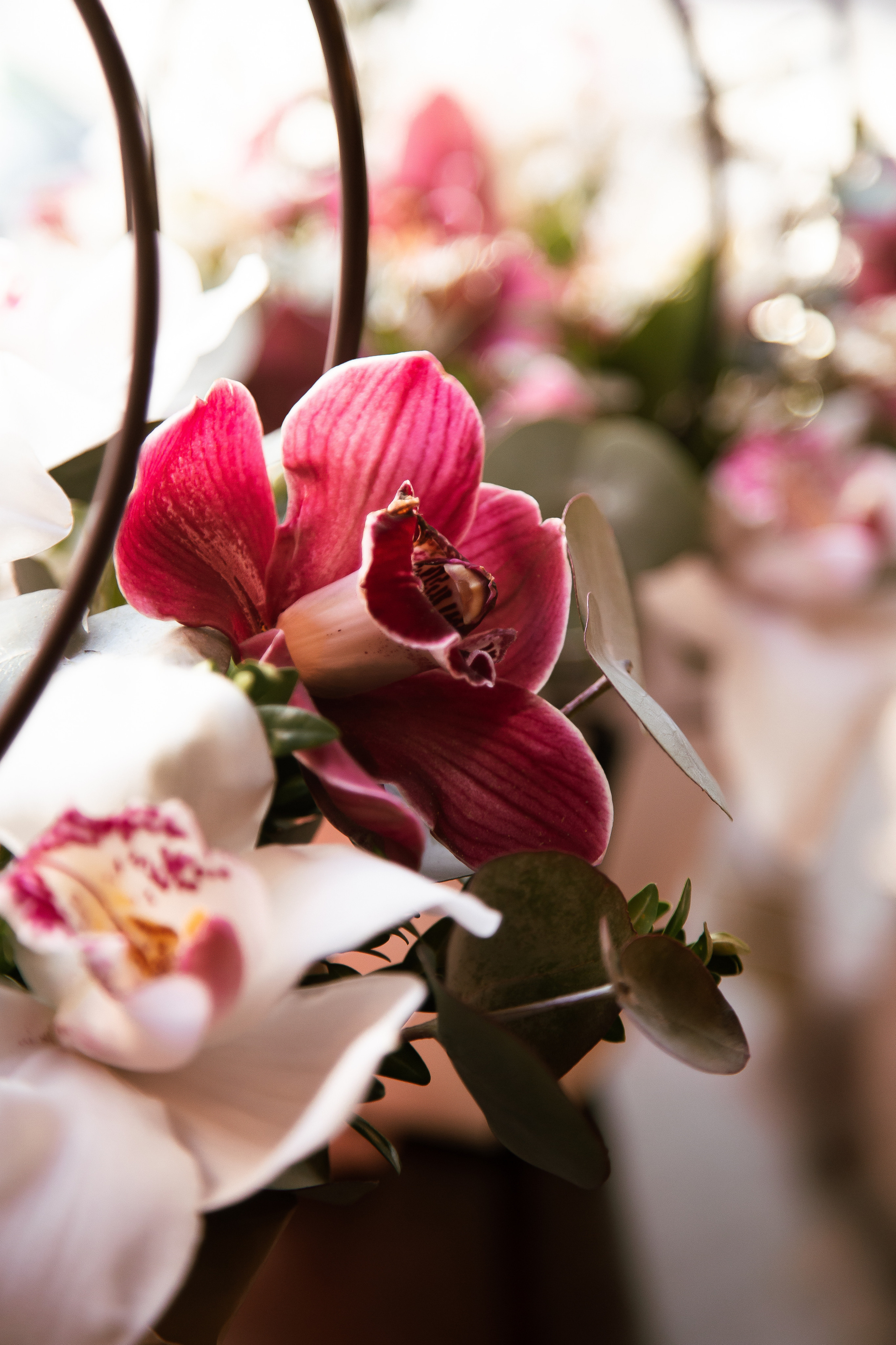 Школа голоса. Свадебный Семейный Репортажный фотограф в Москве