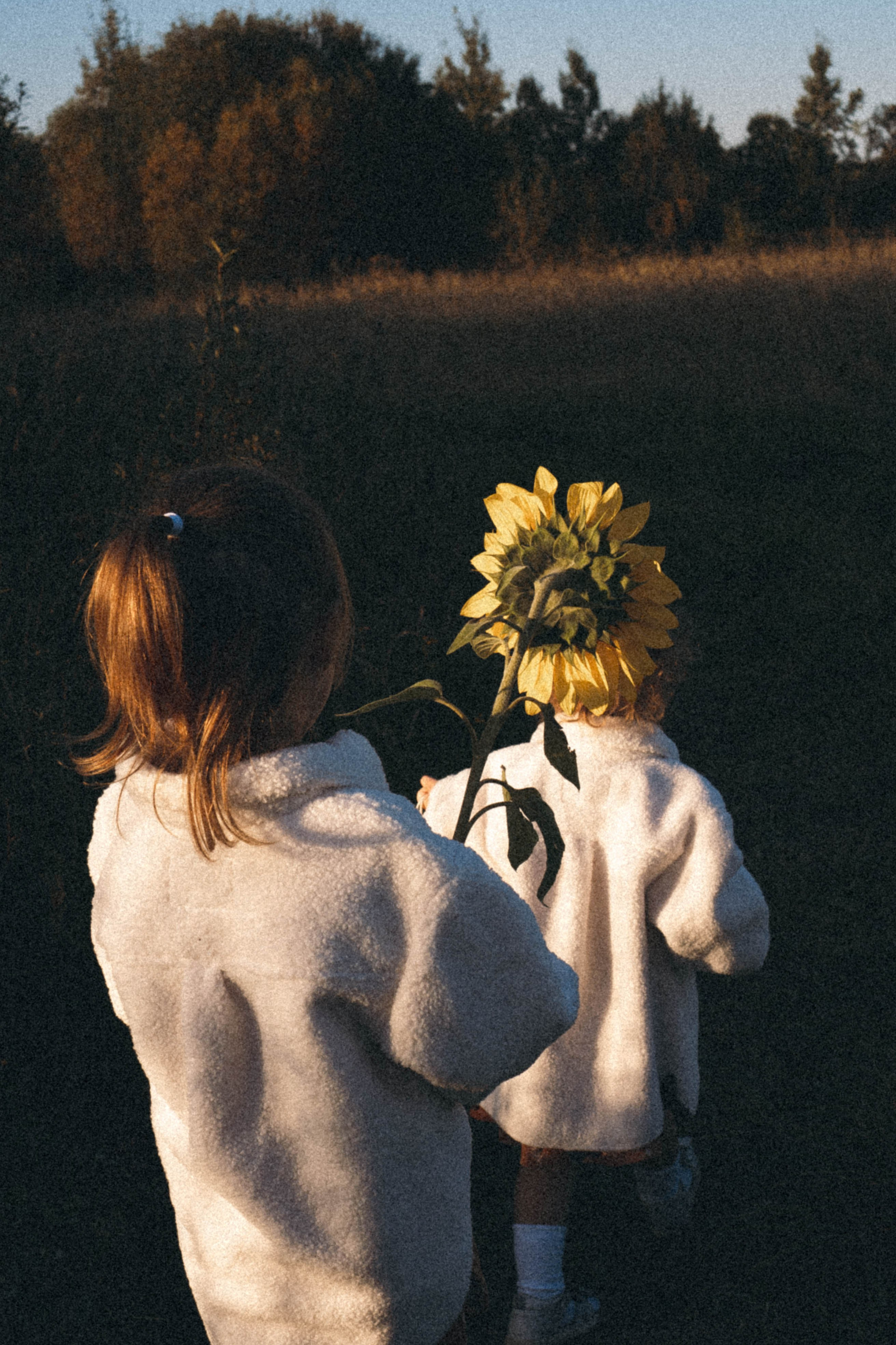 Семейная серия. Профессиональный фотограф, Санкт-Петербург — Виктория Богомолова