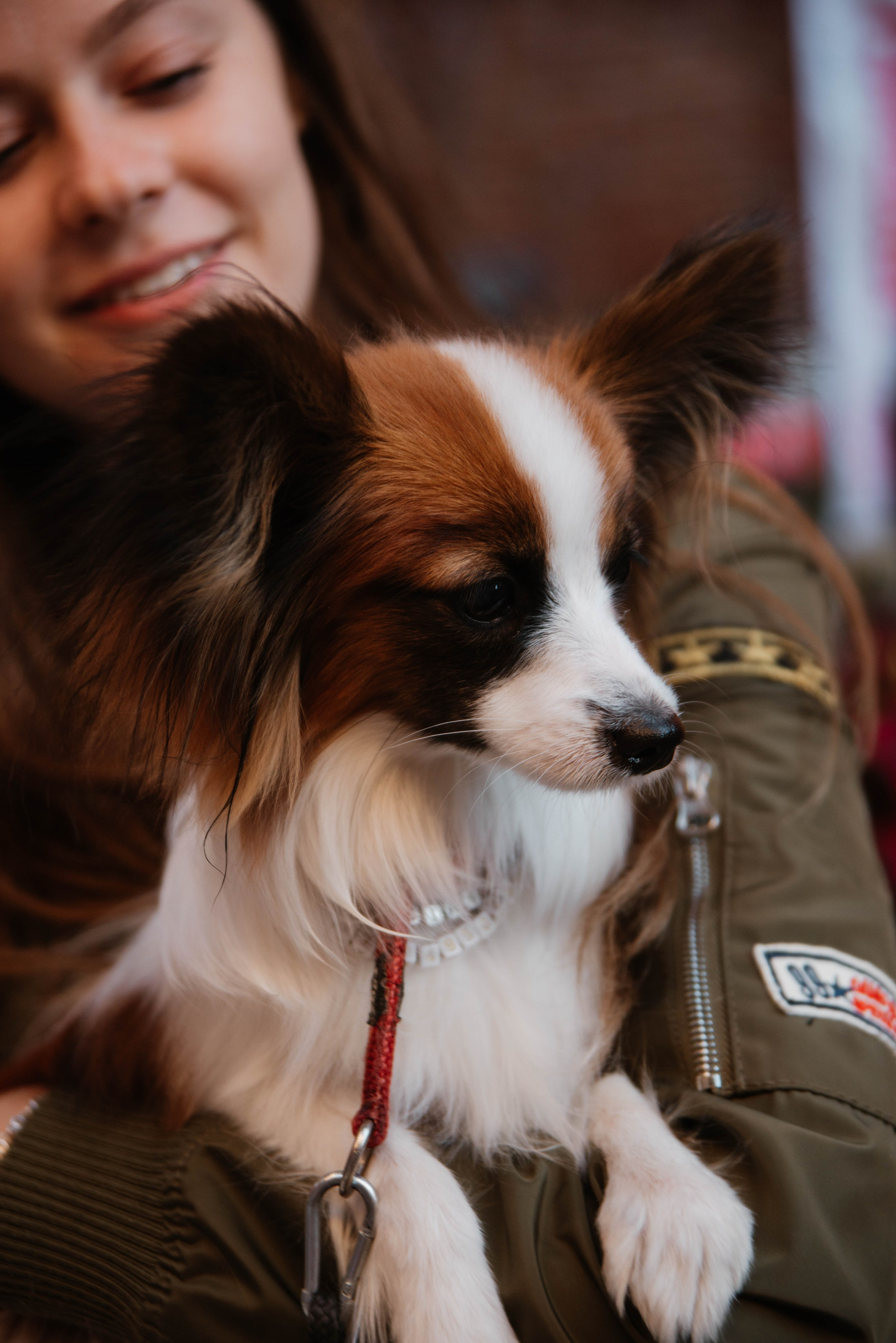 Дог-вечеринка на летнике «Кутёж». Ксения Glossa. Портретный и репортажный фотограф в Самаре