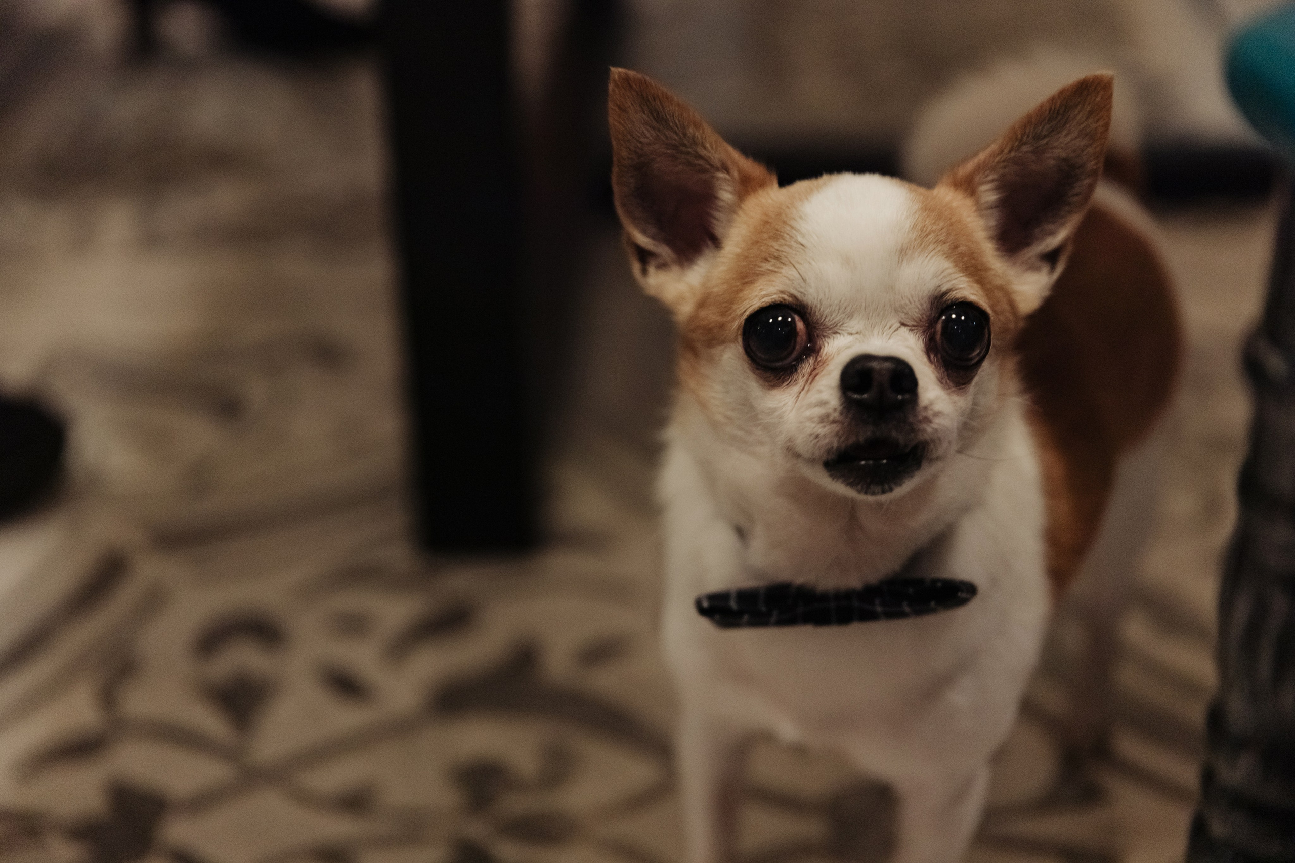 Все идет по плану или «неЛетов». Свадебный фотограф в Санкт-Петербурге