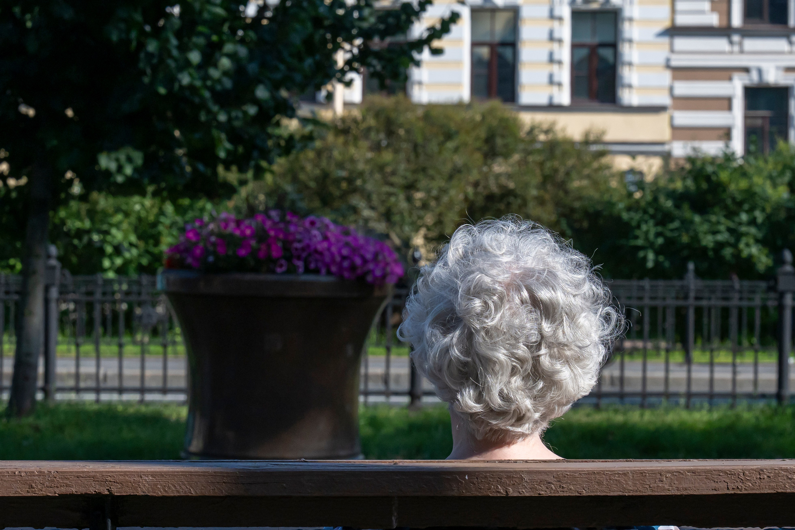 Dimitri Bakhtadze, colour photos. Dimitri Bakhtadze photographer