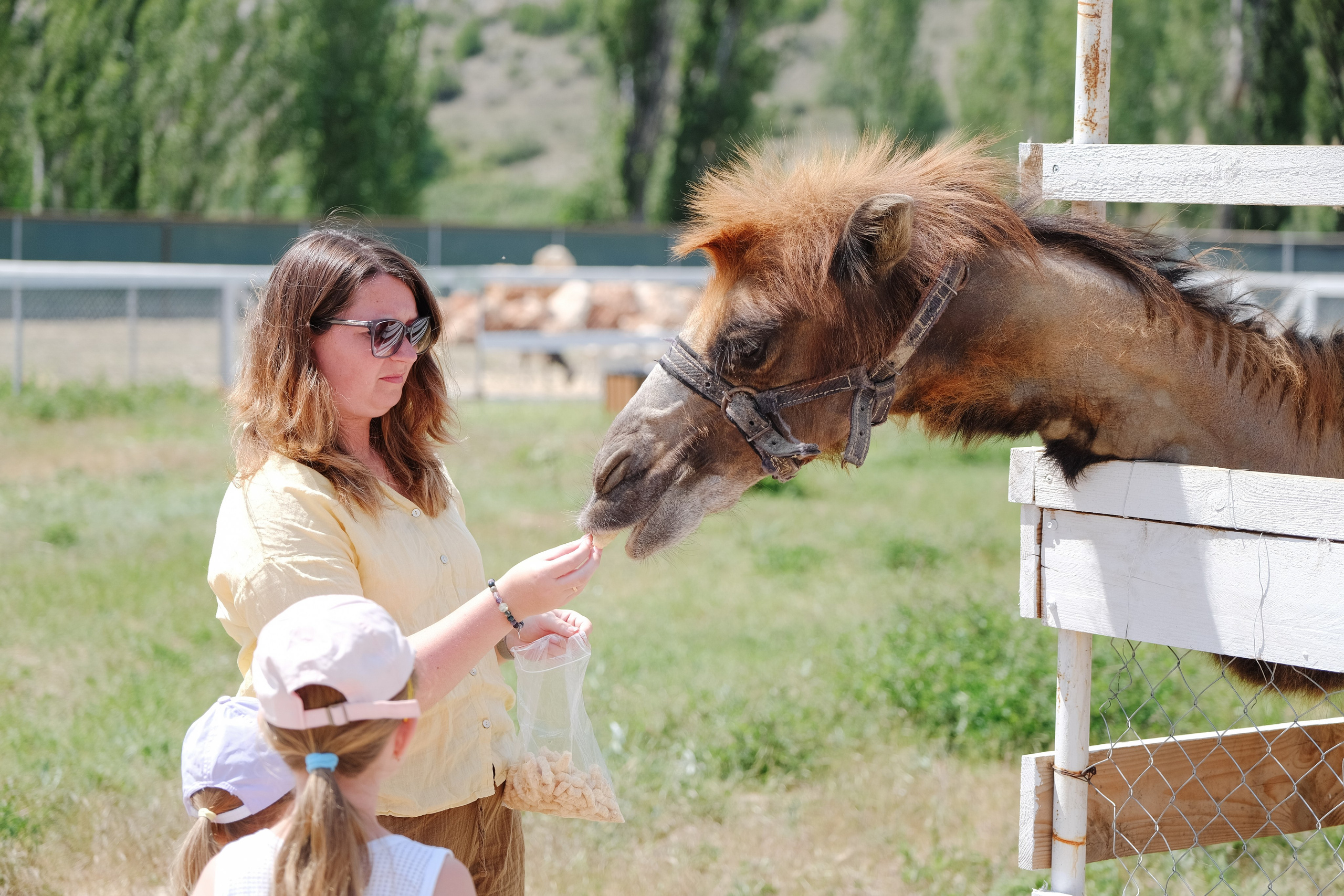 Репортаж на ферме. Профессиональная фотосъемка в Крыму. Натуральные эмоции и живые кадры. Забронируйте дату прямо сейчас!