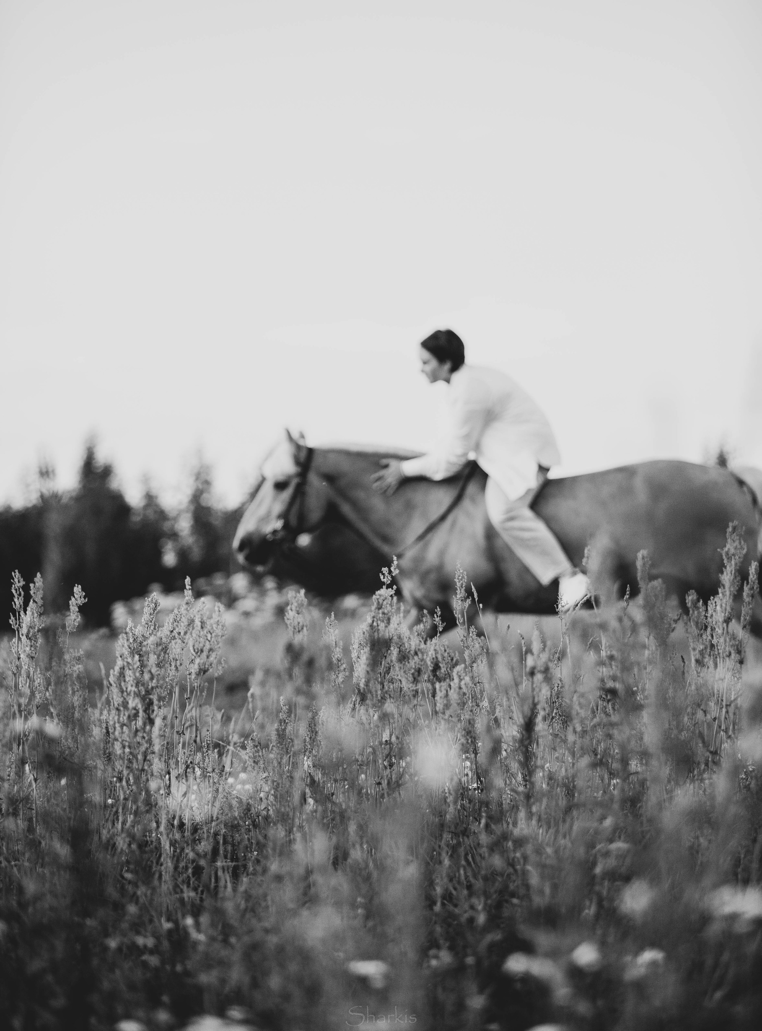 Алина и Гешефт. Главная