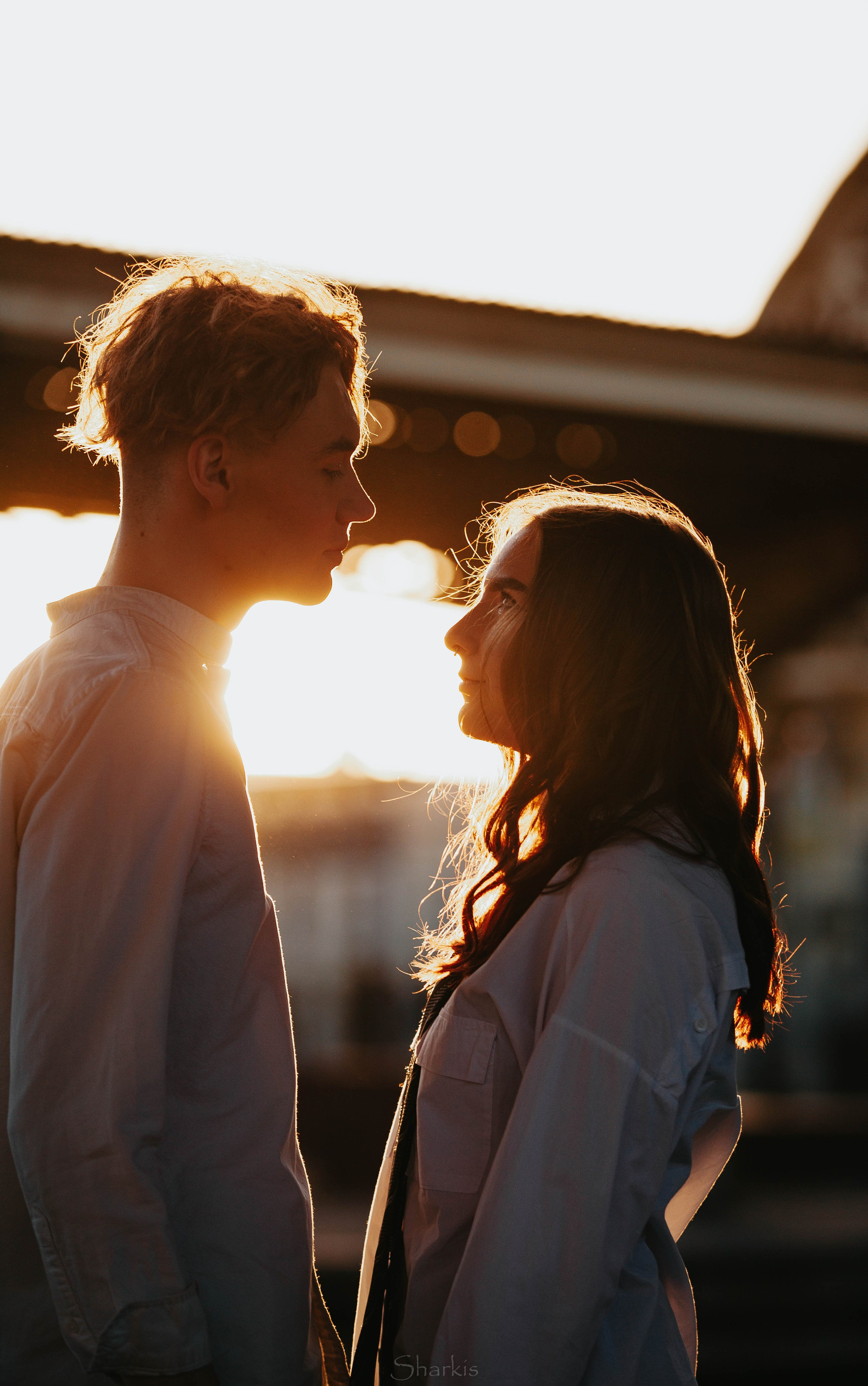 Лев и Вероника. Главная