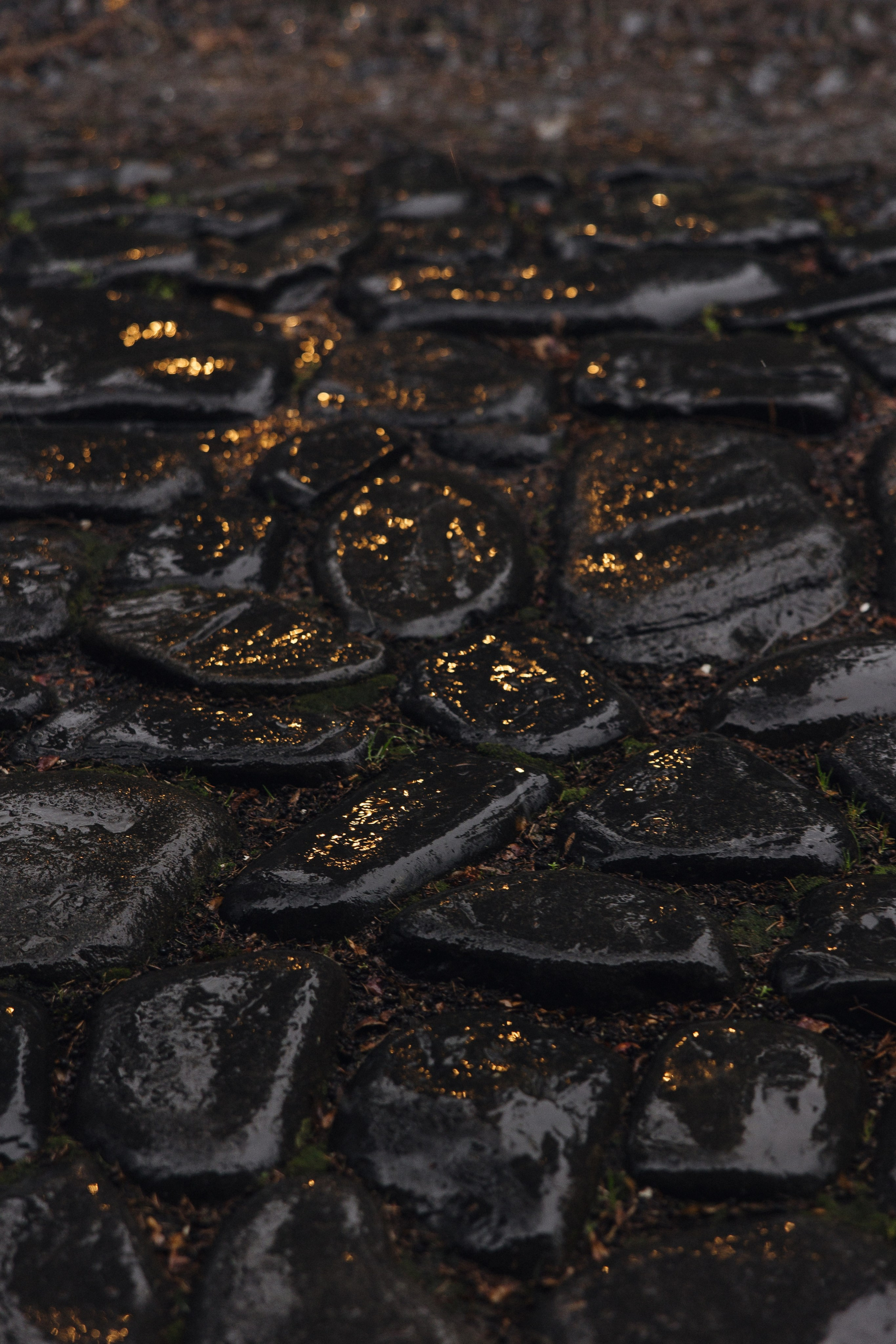 Яна и Максим. Свадебный фотограф Курск Максим Ноздрачев