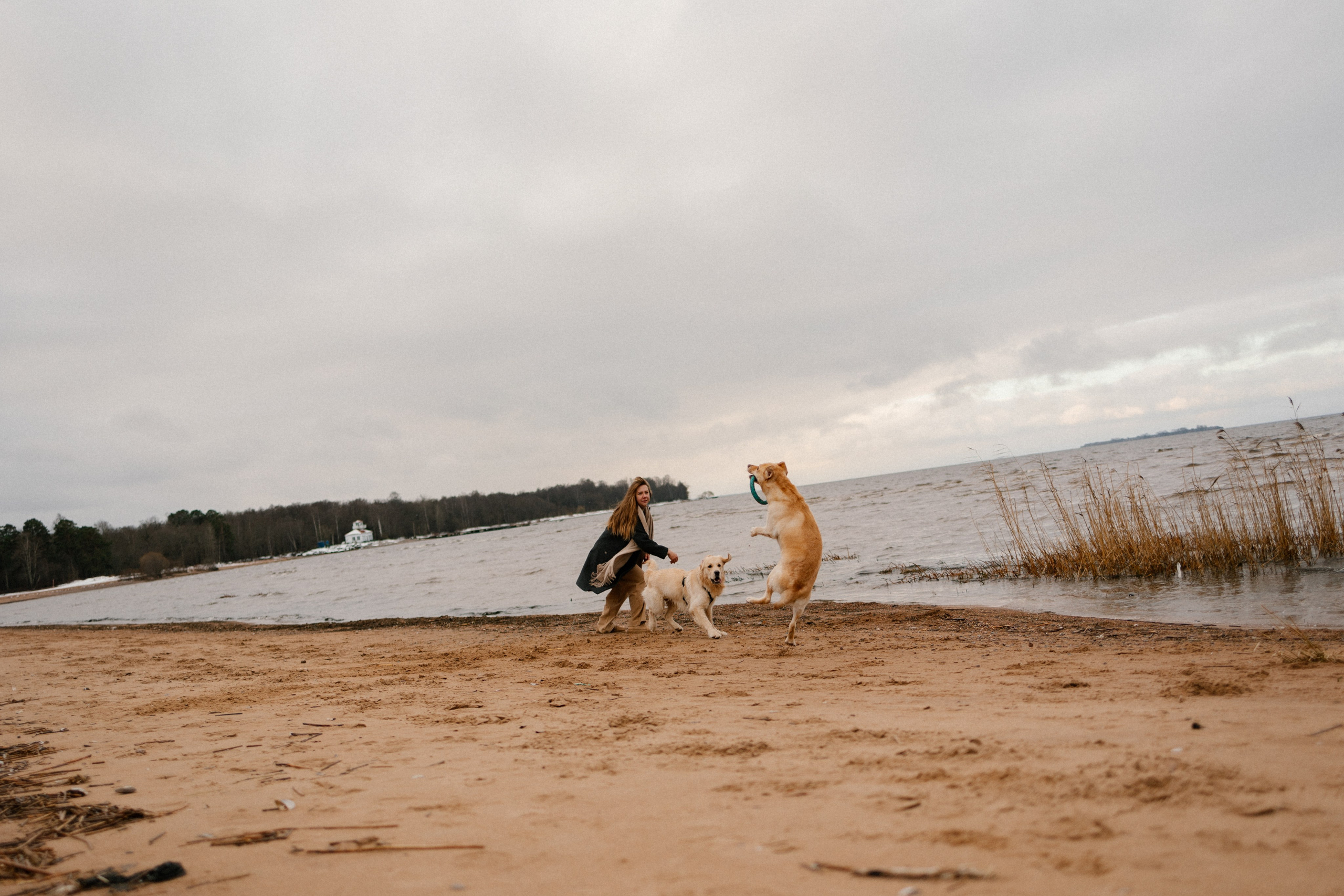 Ирина и Бася. Фотограф — Анималист | Санкт-Петербург