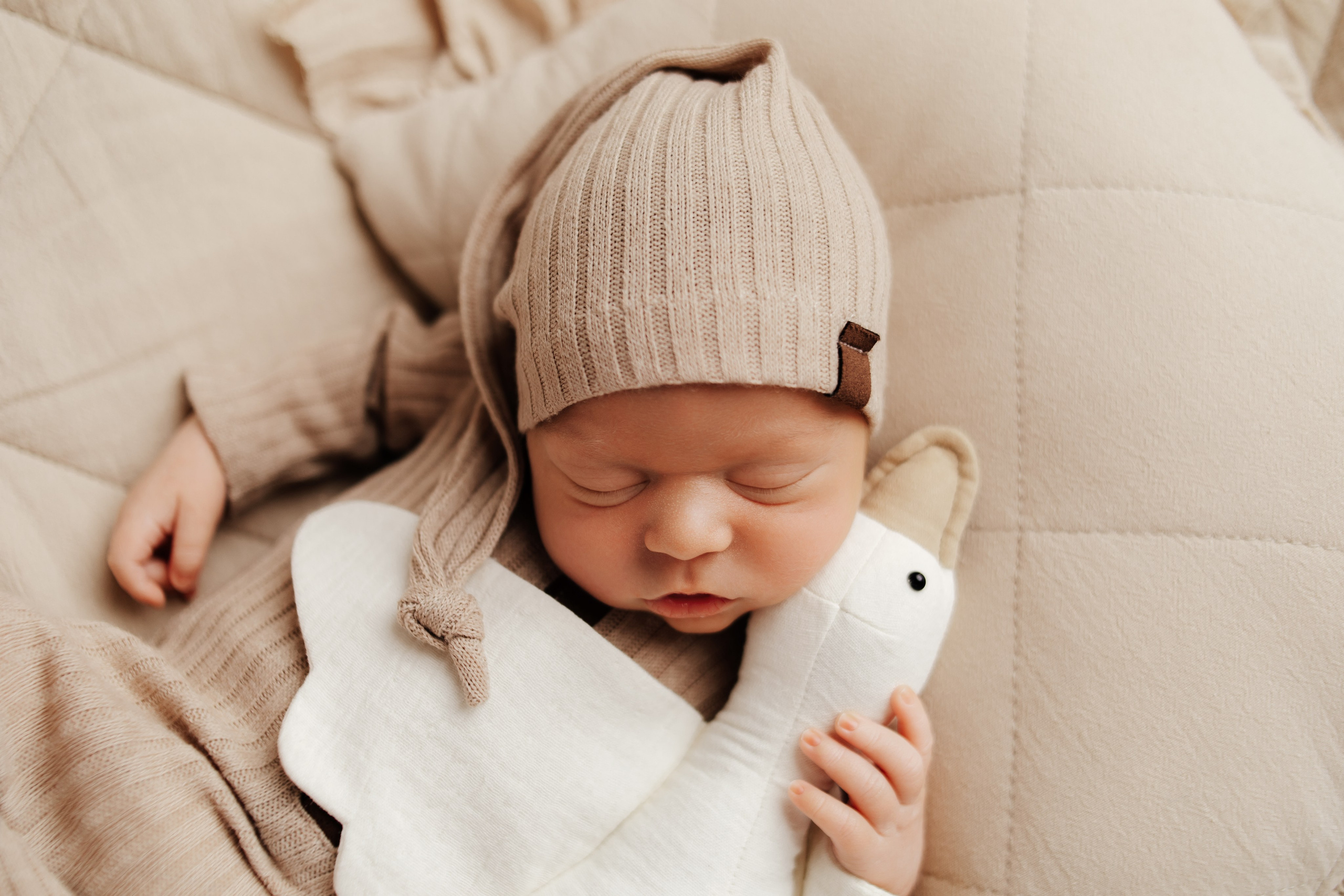 Семейный фотограф Томск. Фотограф новорождённых семейный фотограф Томск Елена Каплина