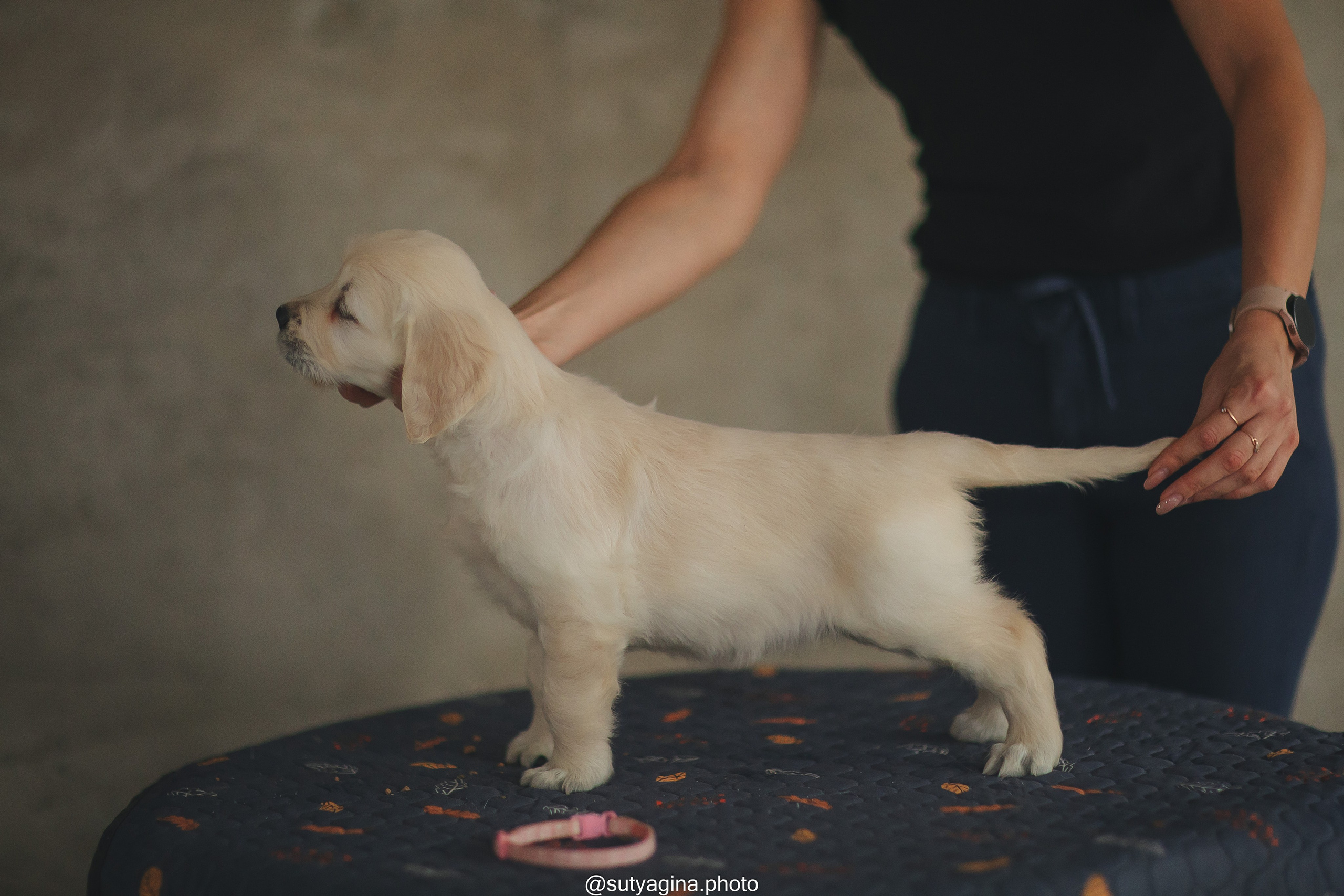 Белая лента. Свадебный и женский фотограф