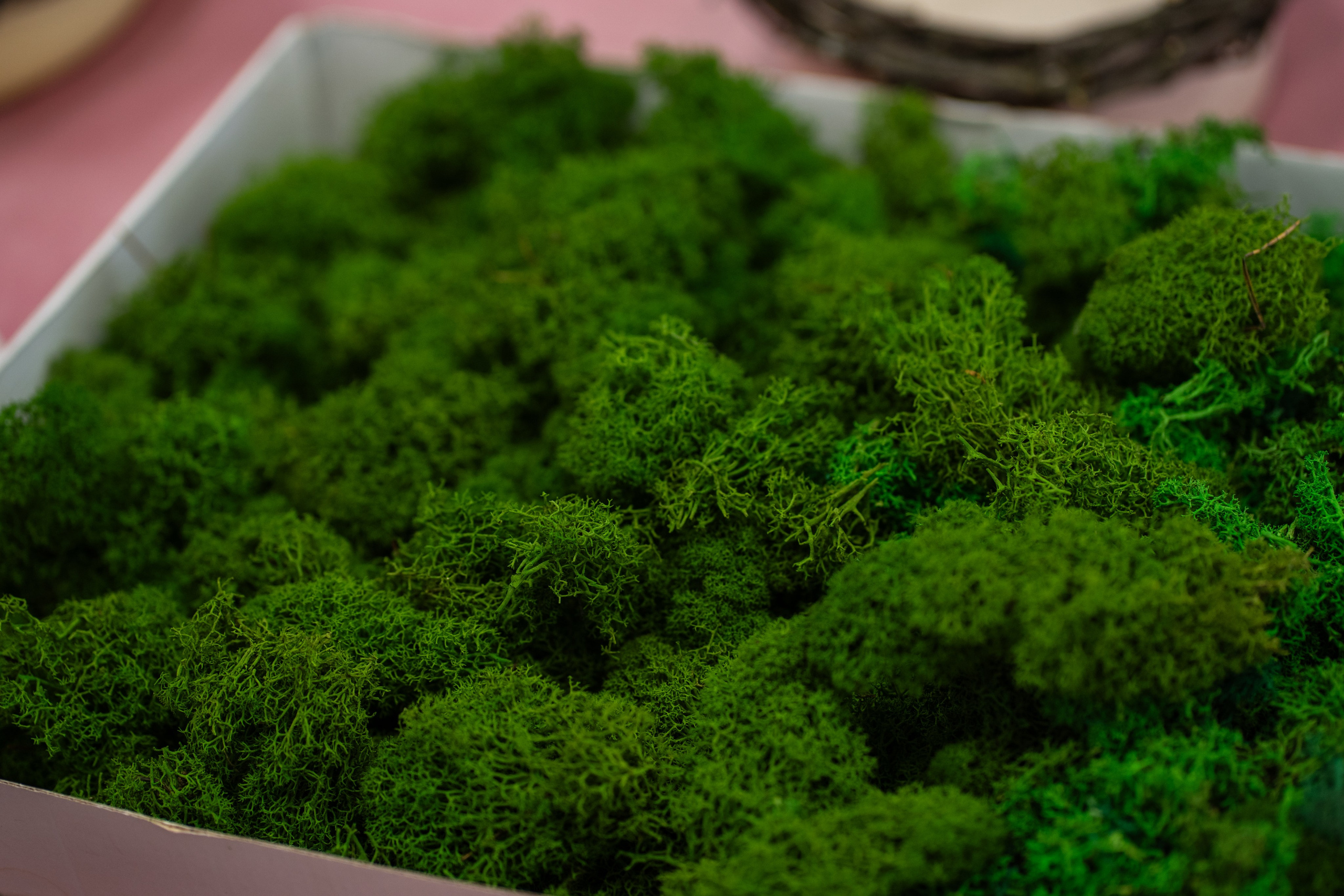 Цветочный Мастер-Класс. Vmeste.Klassno