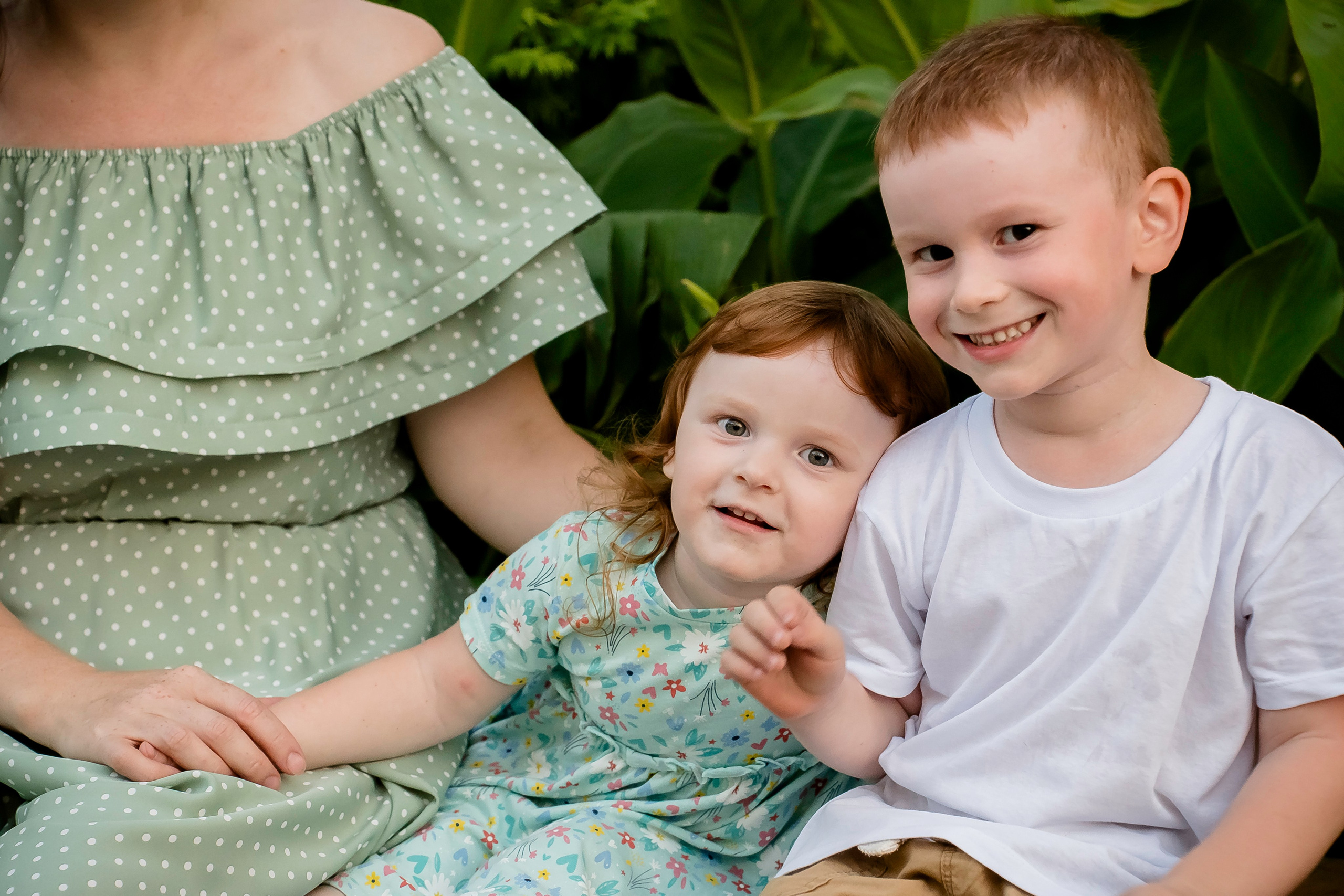 Солнечные лучики. Фотограф Ирина Ликсунова