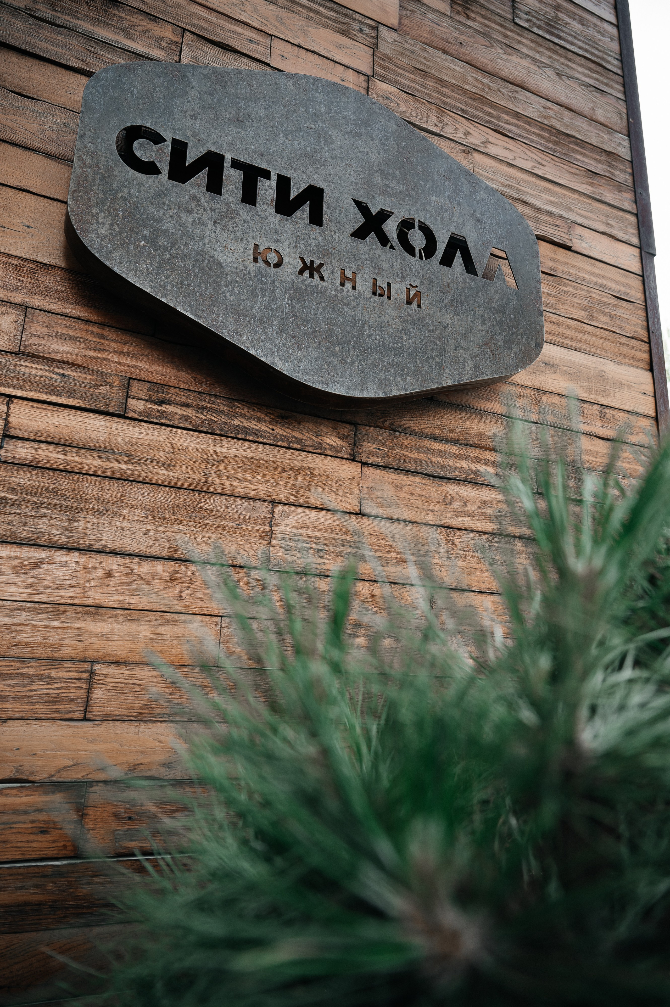 Женёк и Катюша. SARKISOPH | Фотограф Волгоград